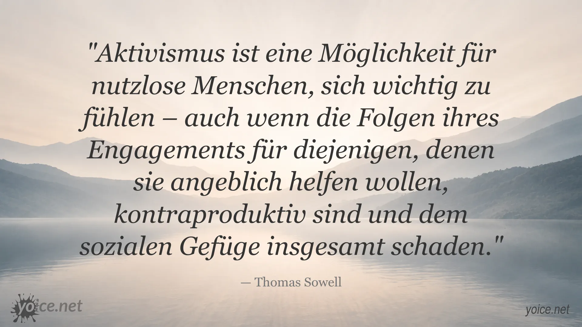 Zitatgrafik von Thomas Sowell über Aktivismus und seine möglichen gesellschaftlichen Folgen