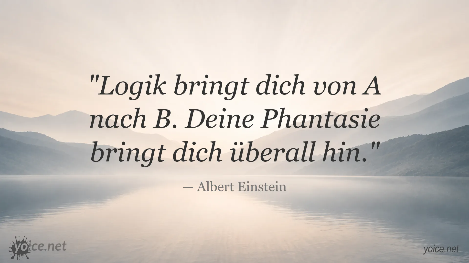 Albert Einstein Zitat über Phantasie und Logik