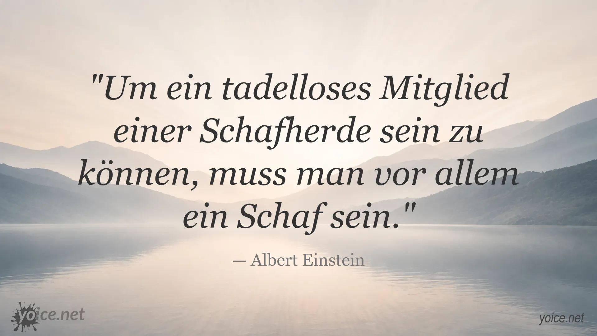 Zitat von Albert Einstein über Schafherden und Individualität