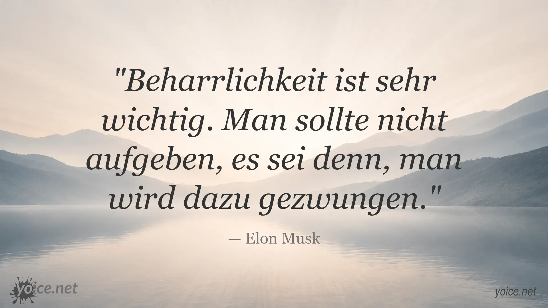 Motivationsbild mit einem Zitat von Elon Musk über Beharrlichkeit und Ausdauer
