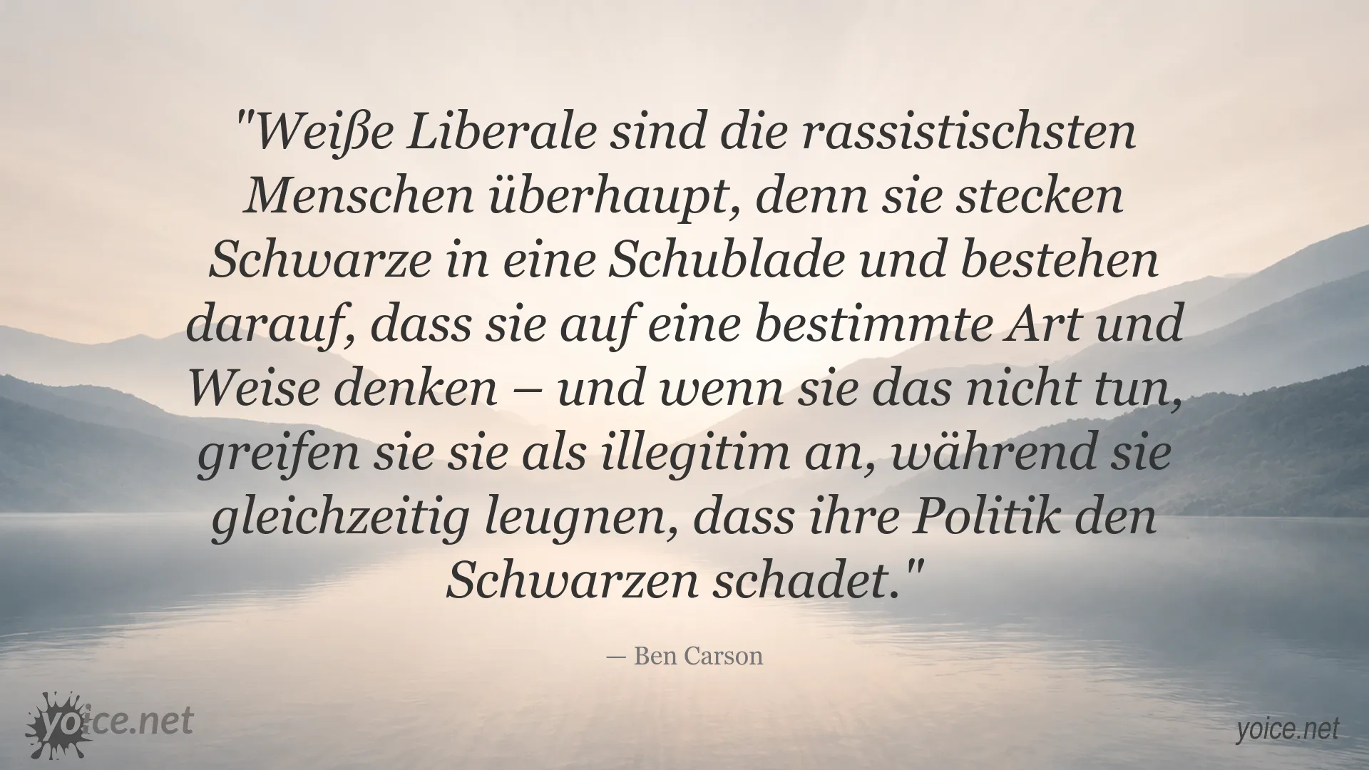 Zitatbild von Ben Carson über Rassismus und politische Identität