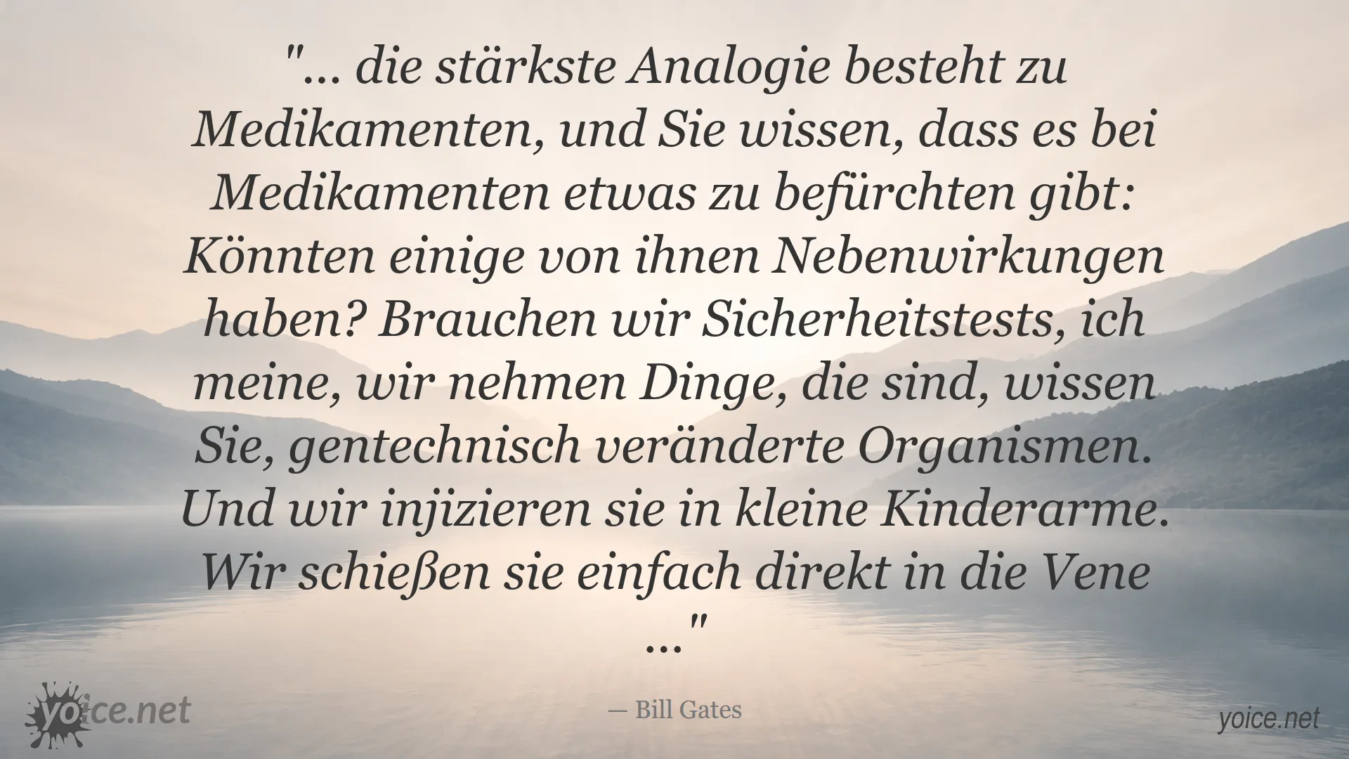 Zitat von Bill Gates zum Thema Sicherheitstests bei Medikamenten und gentechnisch veränderten Organismen