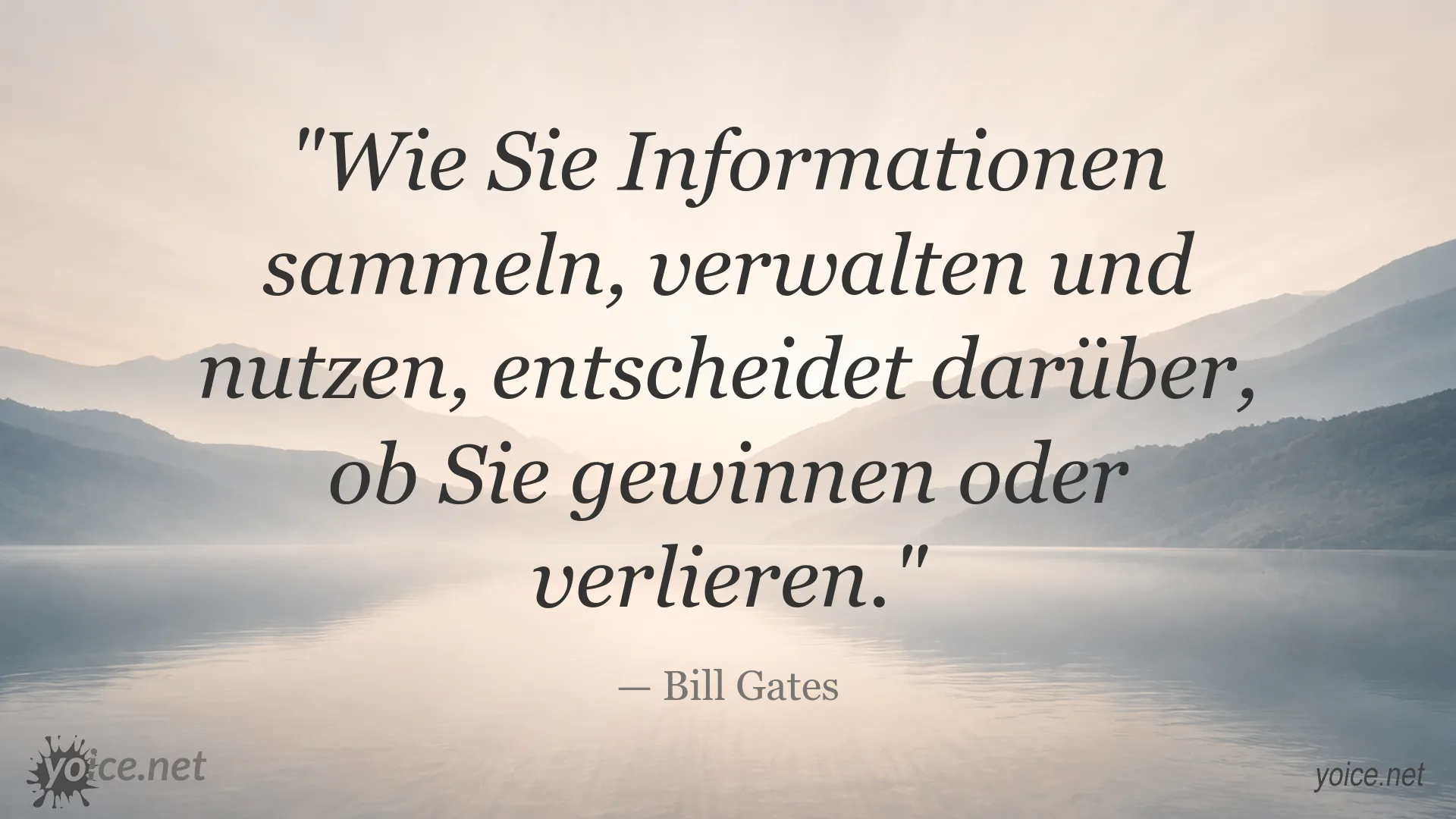 Bill Gates Zitat über den Einfluss von Informationen auf Erfolg