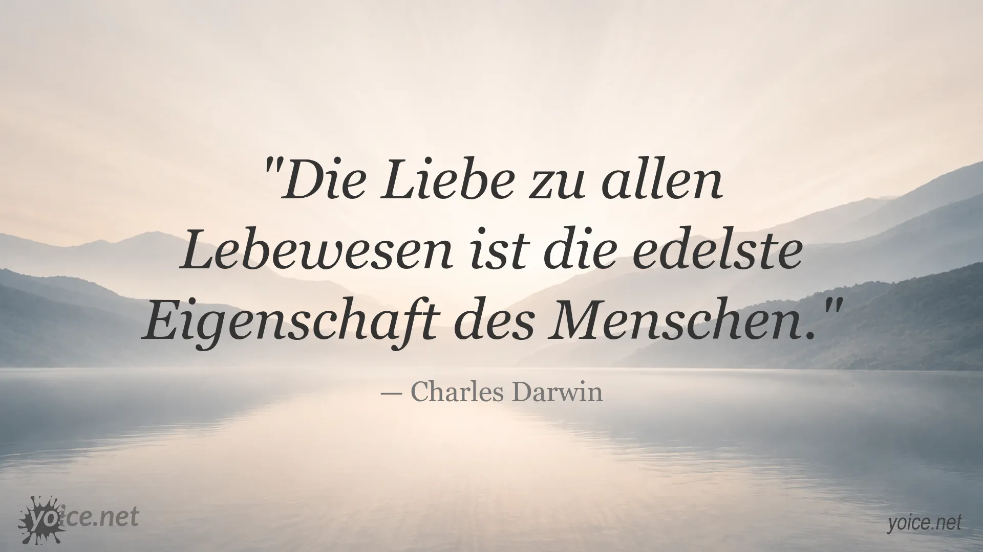 Zitat von Charles Darwin über die Liebe zu allen Lebewesen