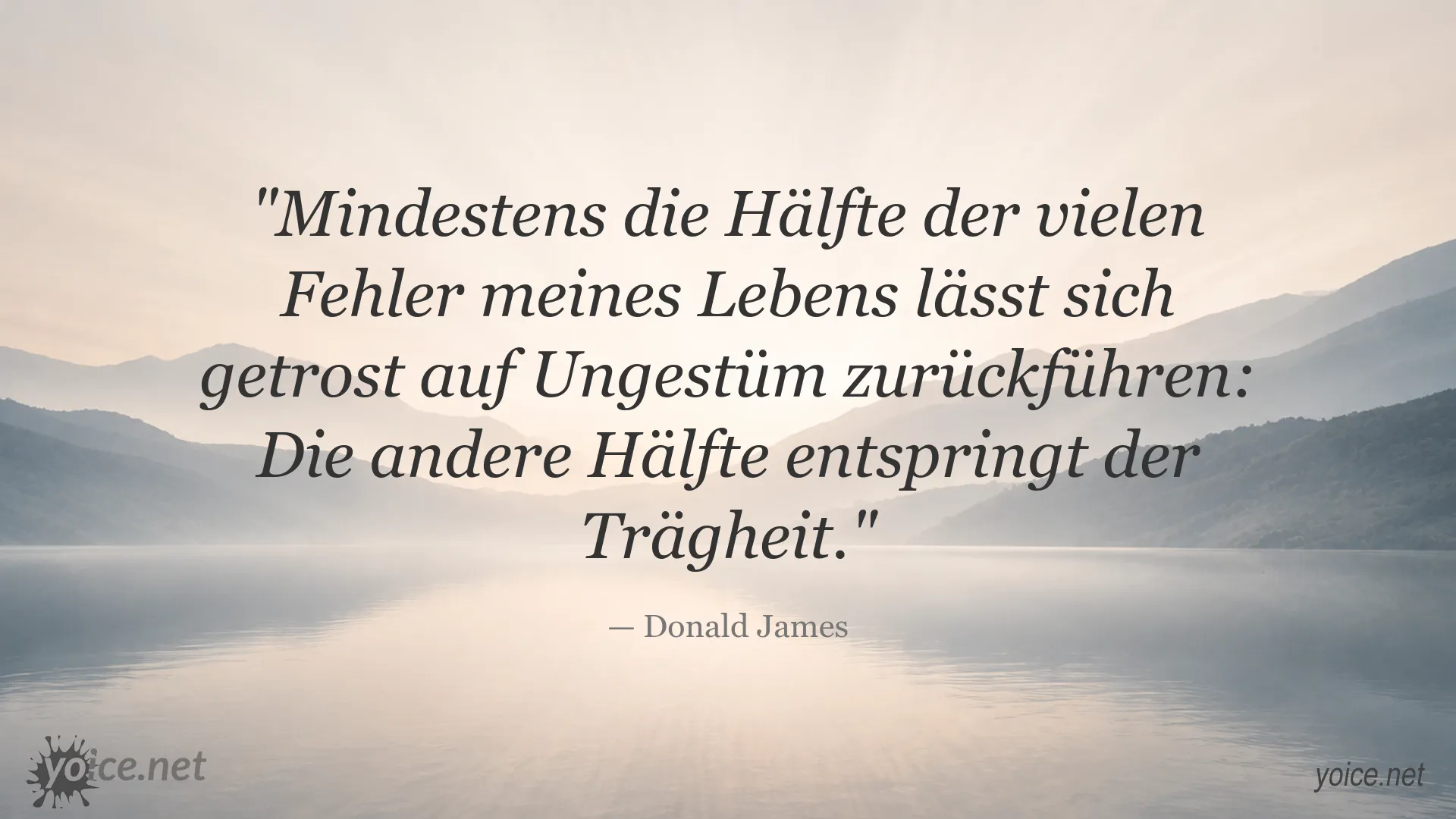 Zitatbild von Donald James über Fehler, Ungestüm und Trägheit
