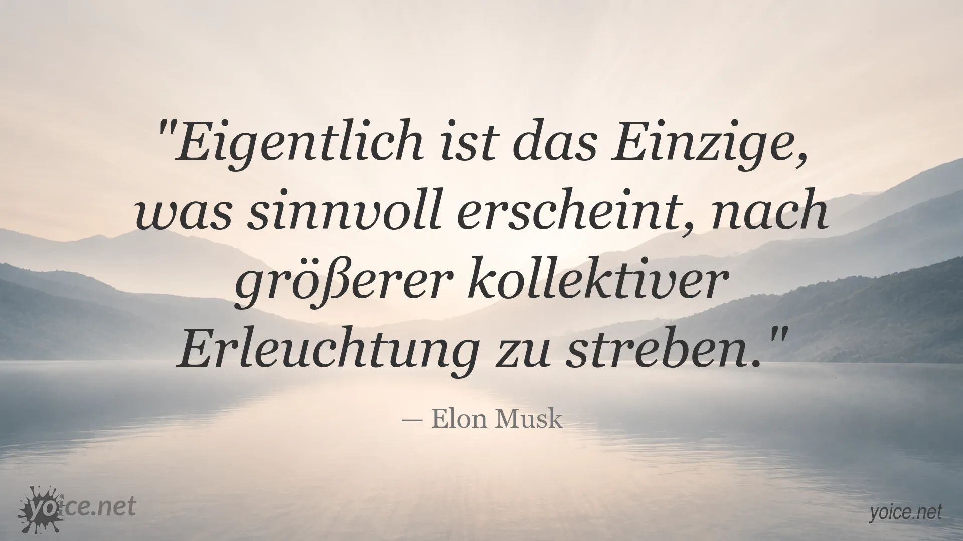 Zitatbild von Elon Musk über das Streben nach kollektiver Erleuchtung