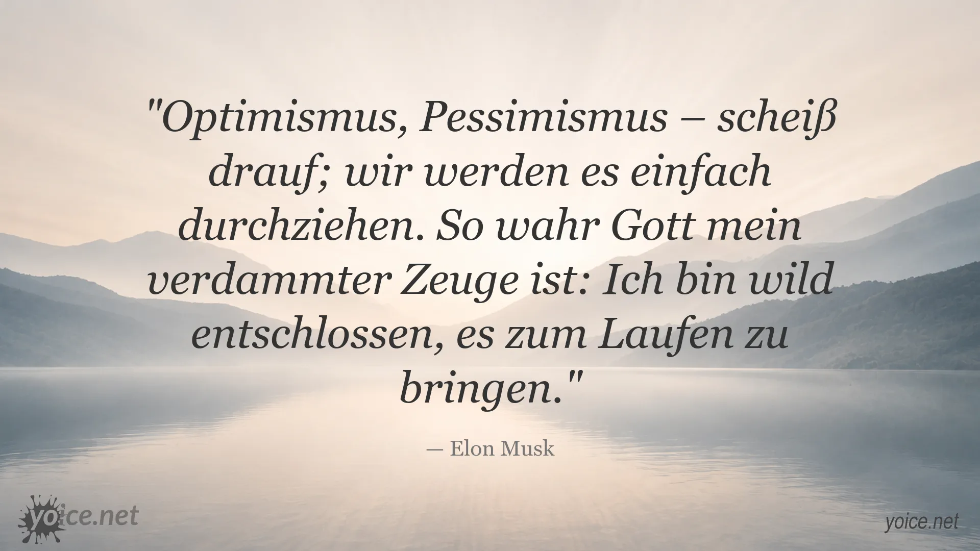 Zitatbild von Elon Musk über Entschlossenheit und Optimismus