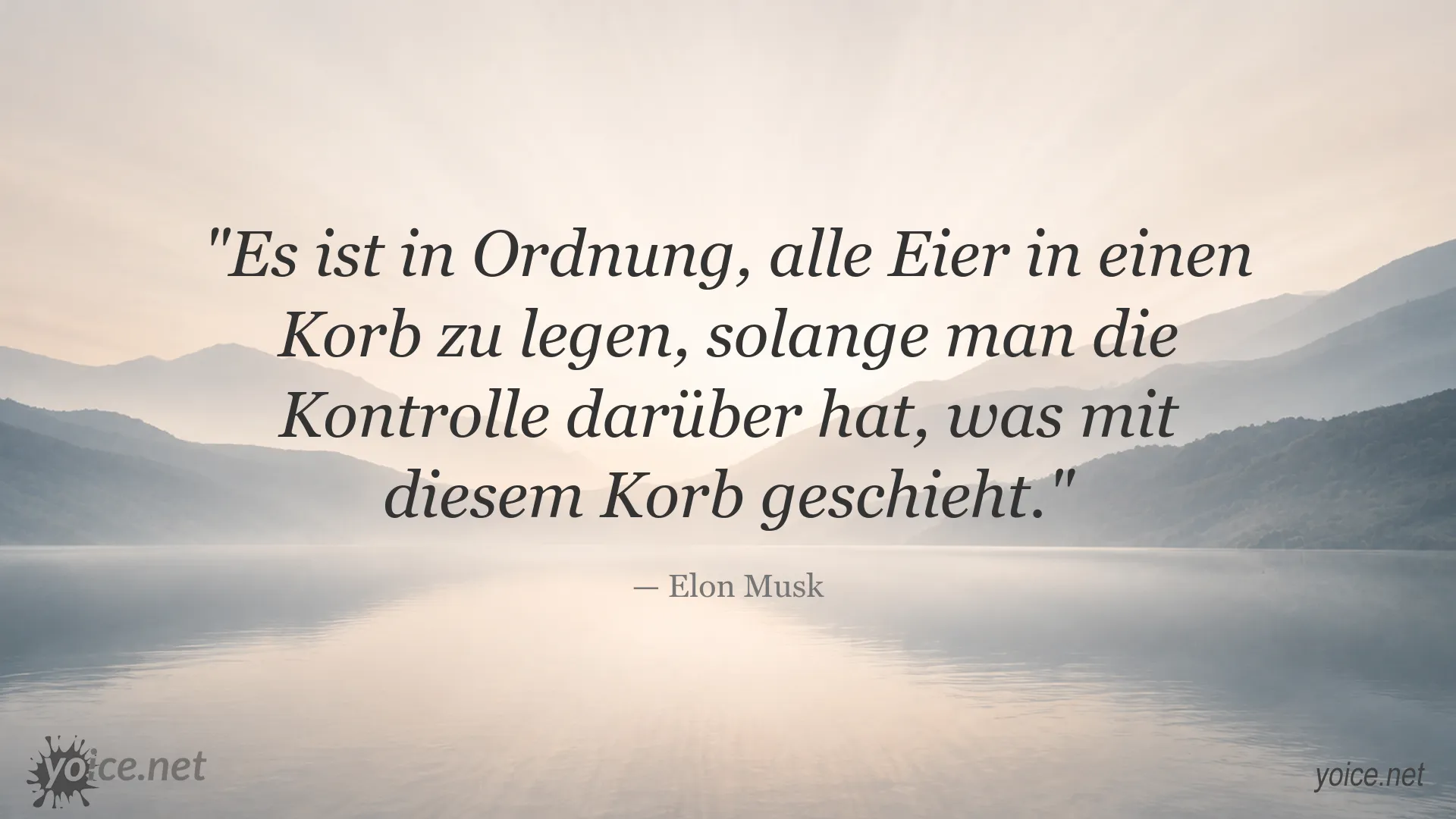 Zitatbild von Elon Musk über Risiko, Kontrolle und Entscheidungen