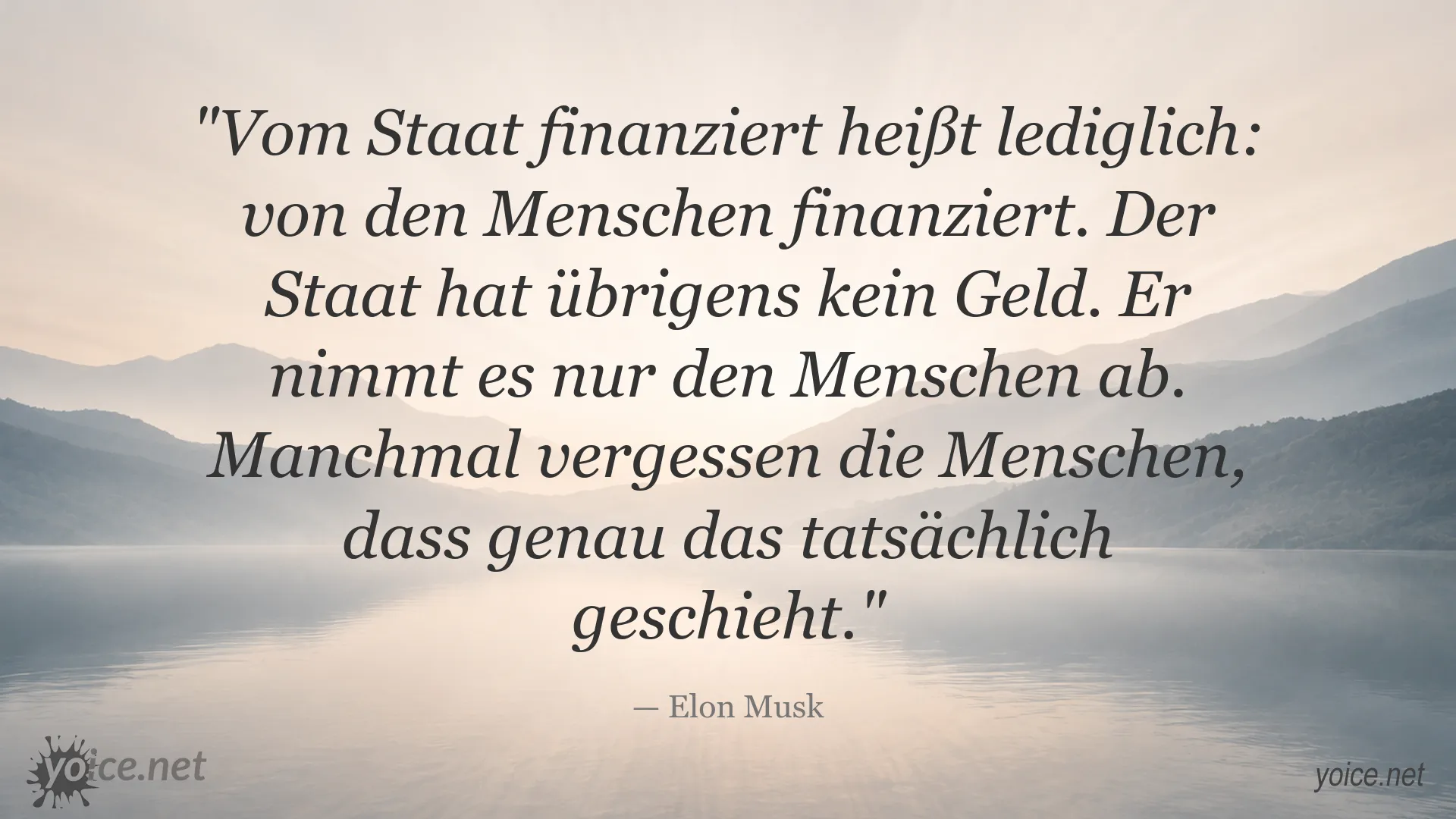 Elon Musk Zitat über Staatsfinanzierung, Steuern und den Ursprung staatlicher Gelder