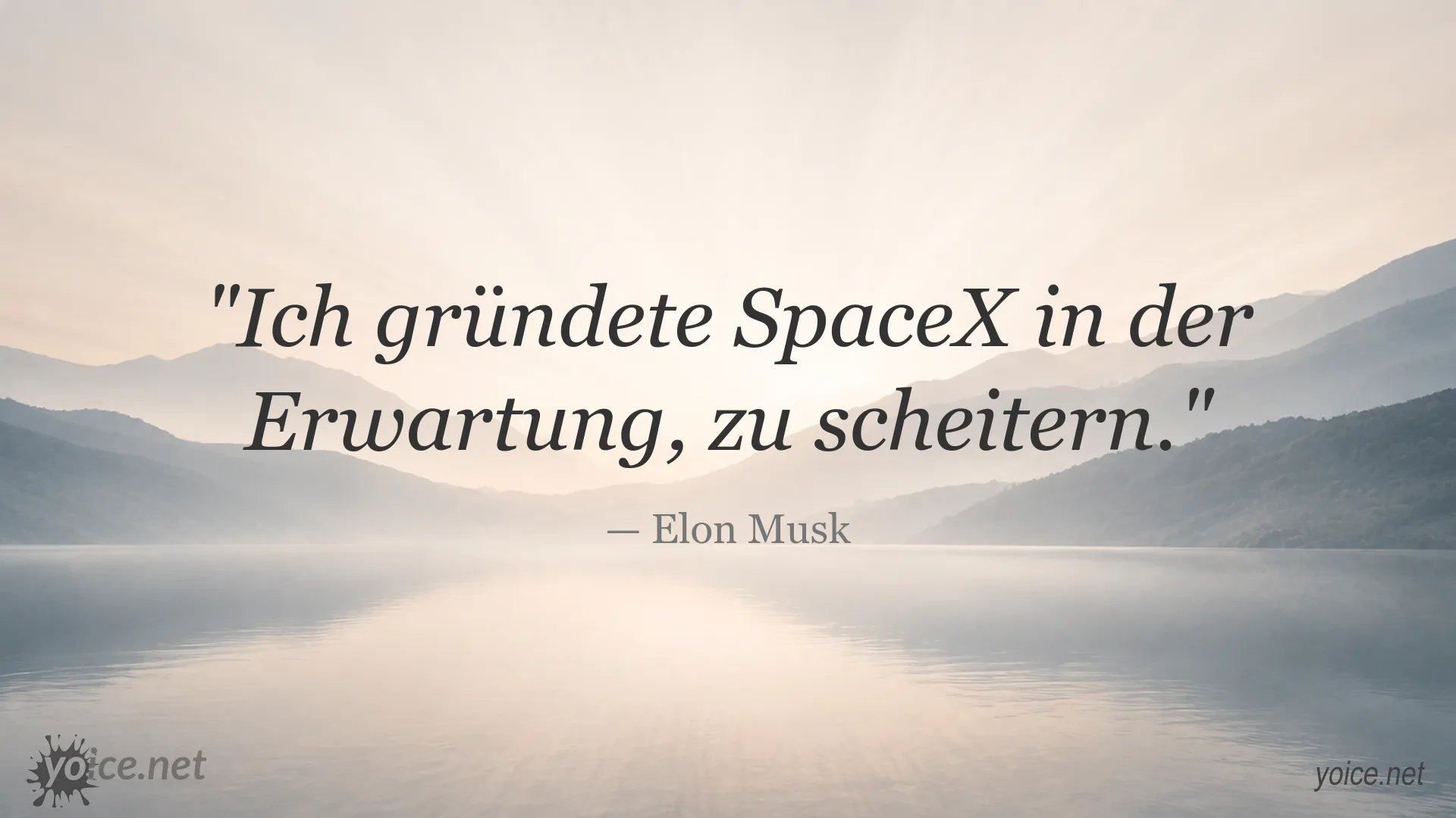 Elon Musk Zitat über die Gründung von SpaceX
