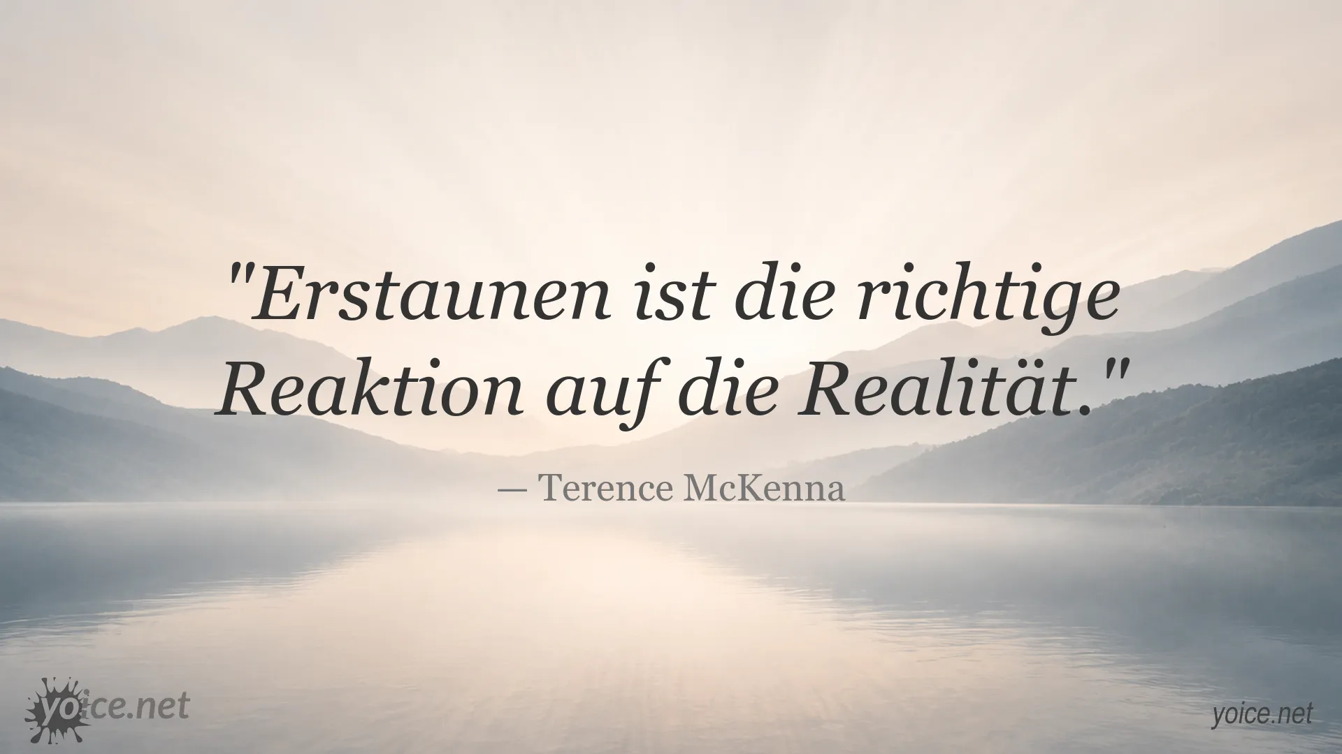 Zitatbild von Terence McKenna über Erstaunen und Realität