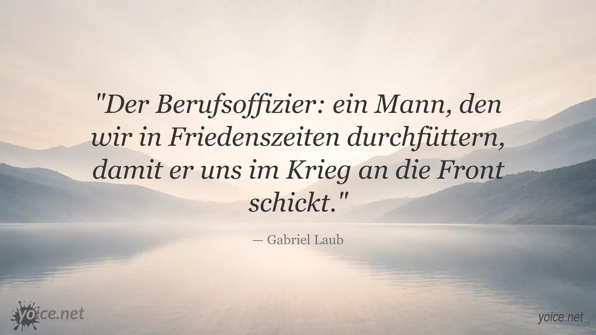 Zitat von Gabriel Laub über den Berufsoffizier und seine Rolle im Krieg