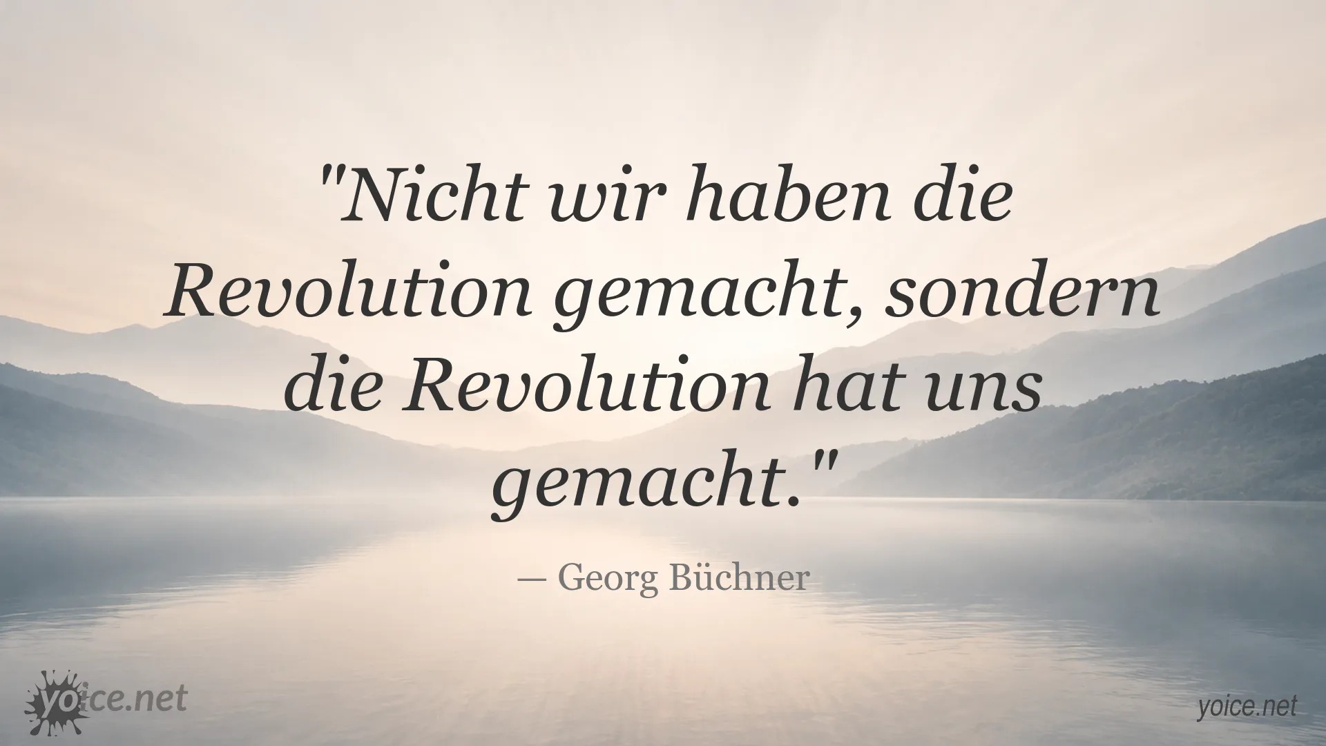Zitat von Georg Büchner zur Revolution und Gesellschaft