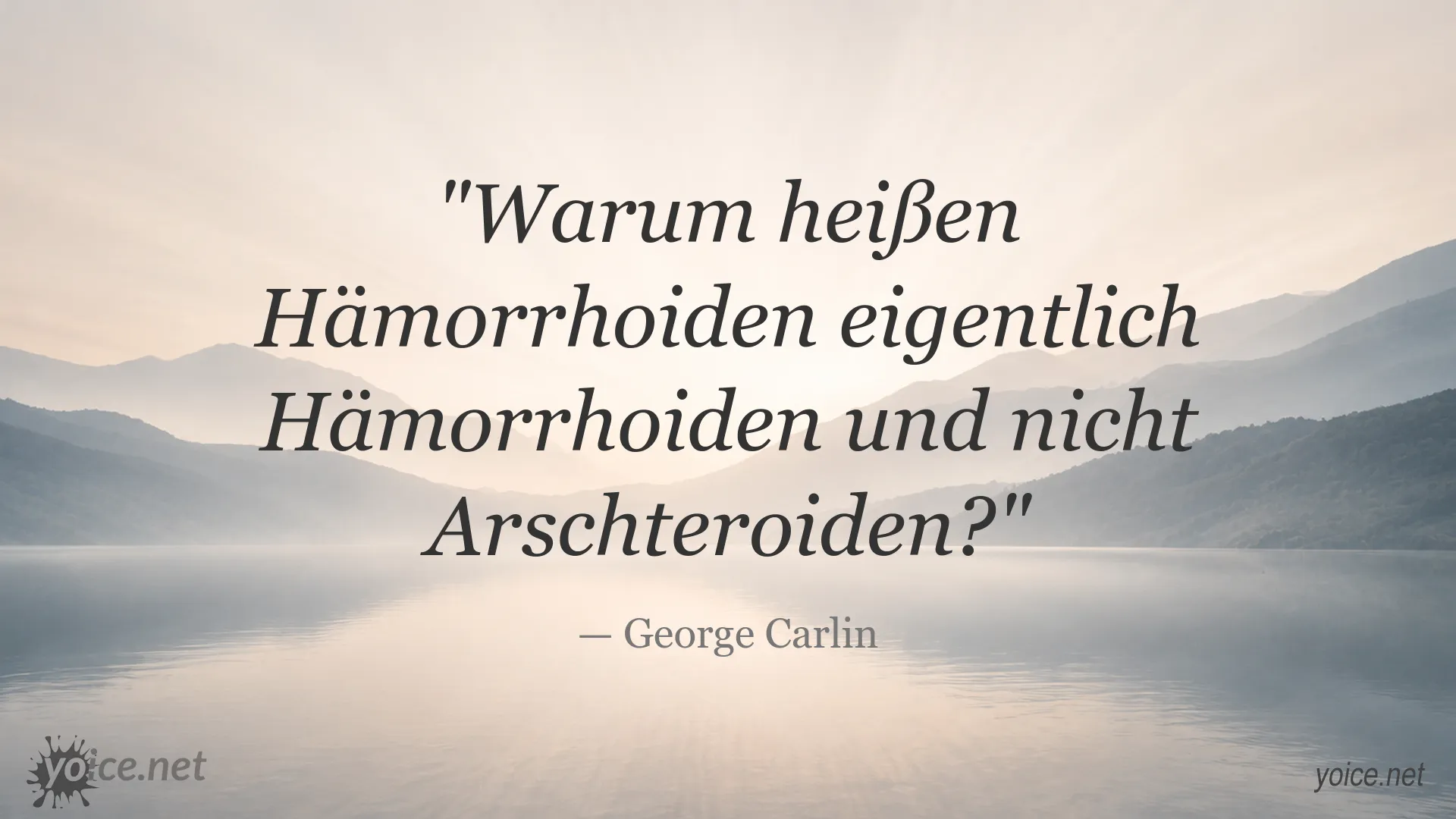 Humorvolles George-Carlin-Zitat über Hämorrhoiden