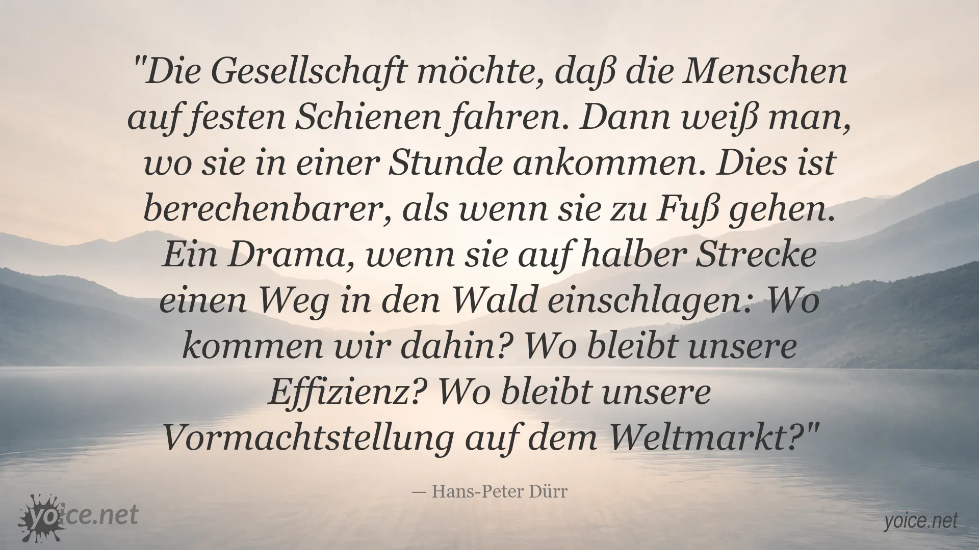 Zitatbild von Hans-Peter Dürr über gesellschaftliche Konformität und Effizienz