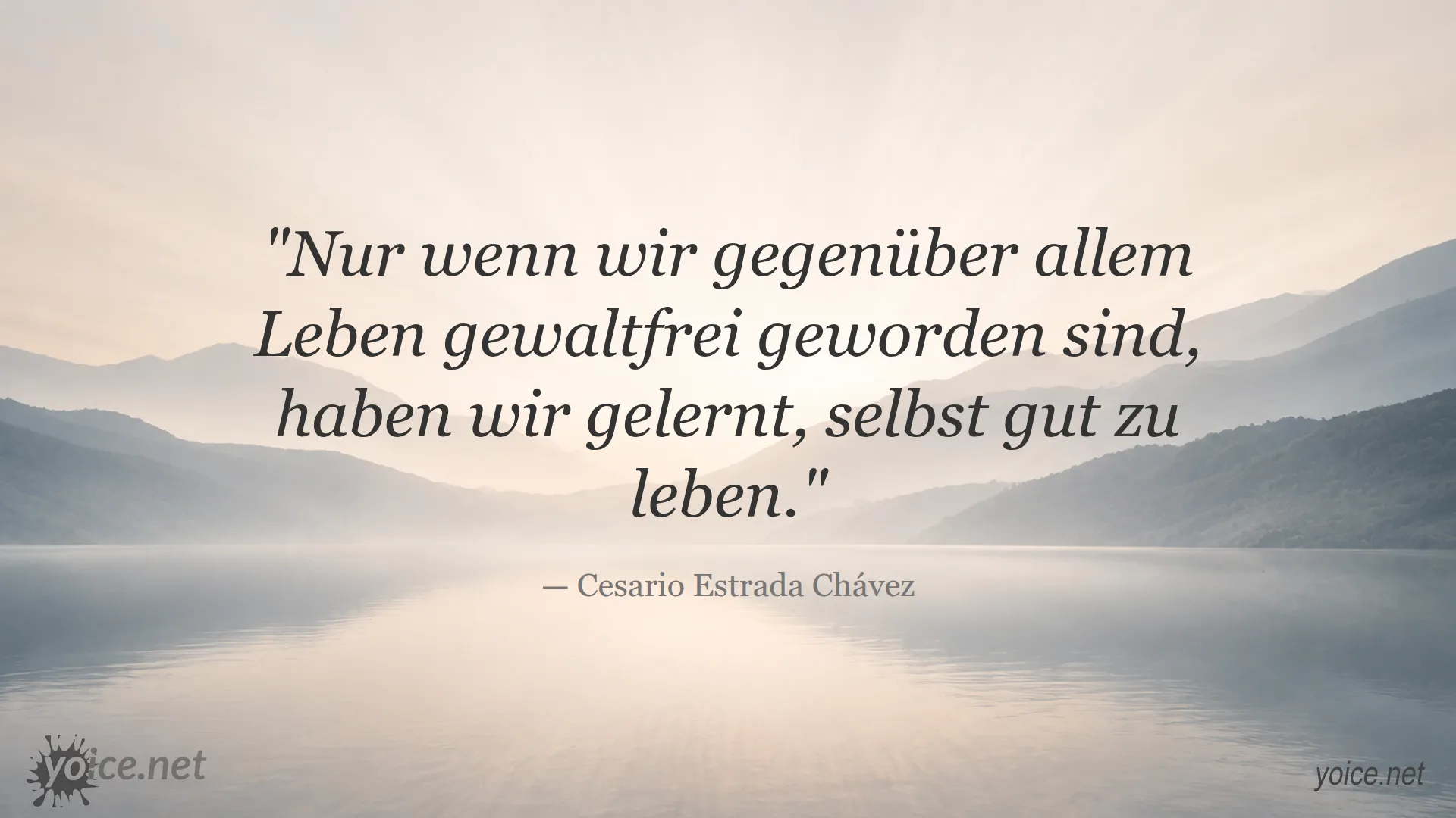 Zitat von Cesario Estrada Chávez über Gewaltfreiheit gegenüber allem Leben