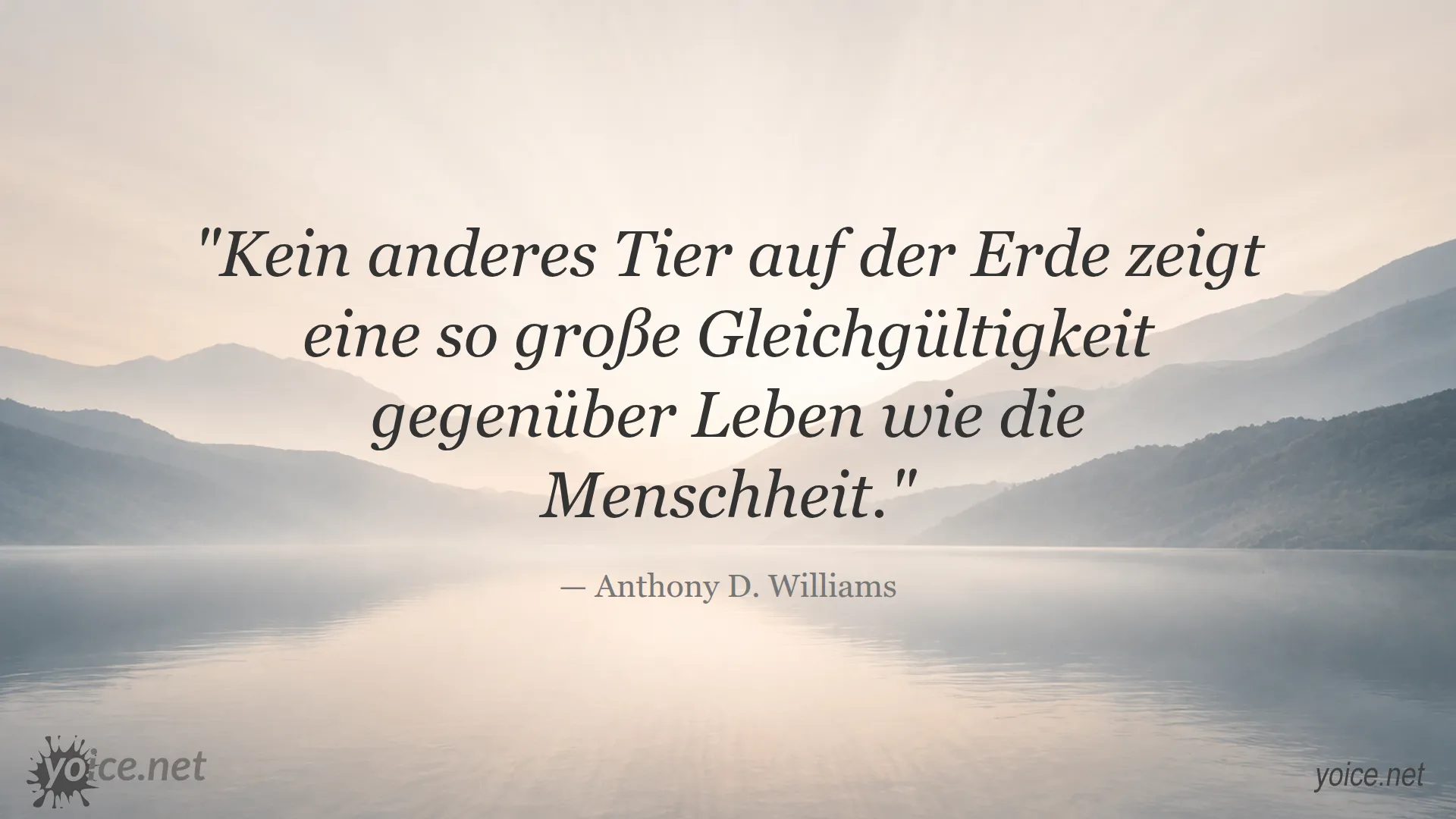 Zitat von Anthony D. Williams über Gleichgültigkeit gegenüber Leben