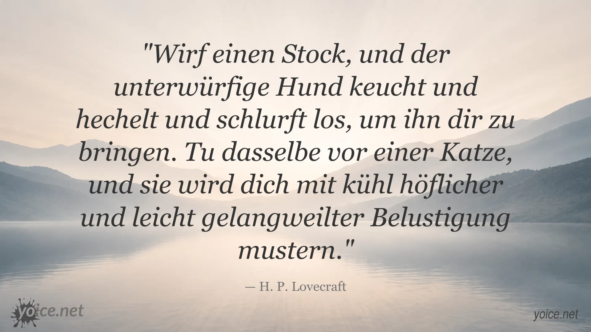 H. P. Lovecraft Zitat über das unterschiedliche Verhalten von Hunden und Katzen