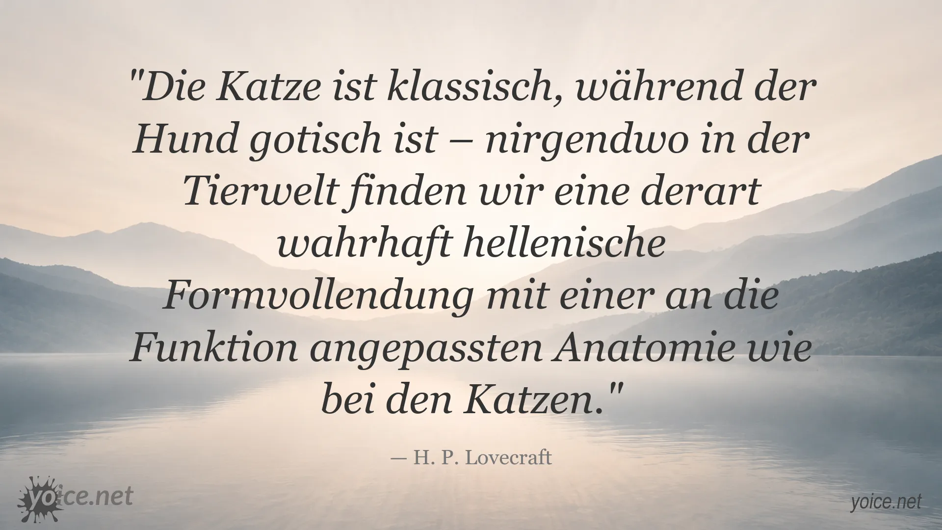 Zitatbild von H. P. Lovecraft über den Unterschied zwischen Katzen und Hunden