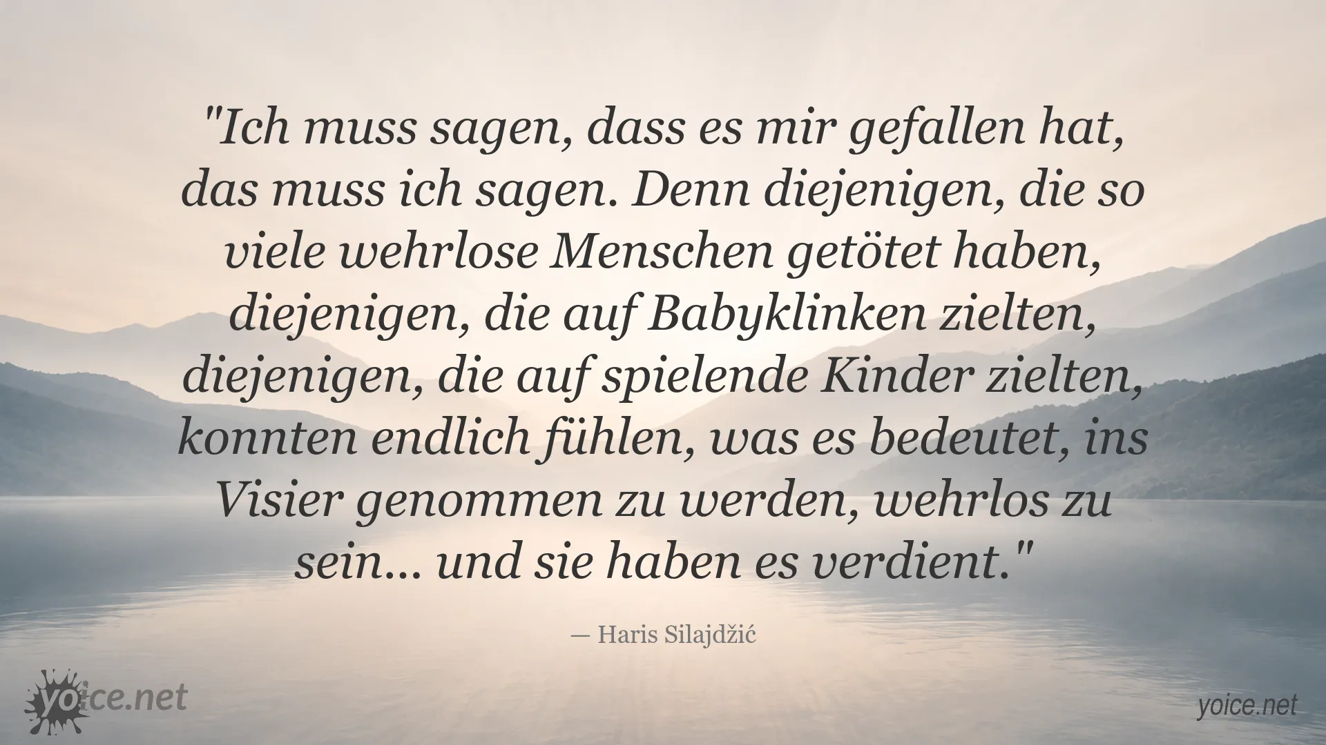 Zitatbild mit einem Ausspruch von Haris Silajdžić über Krieg und Vergeltung