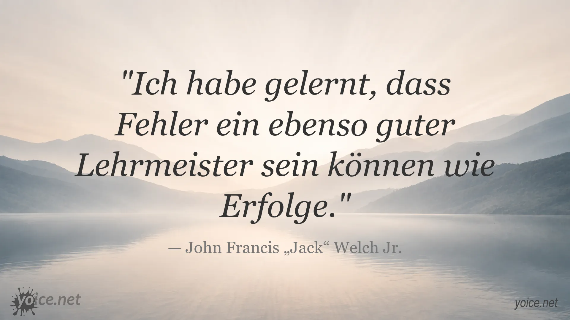 Zitat von Jack Welch über die Bedeutung von Fehlern und Erfolgen als Lehrmeister