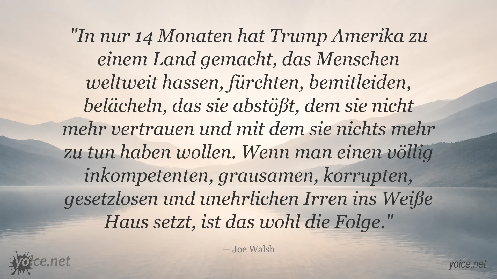 Zitat von Joe Walsh über Donald Trump und die Folgen seiner Präsidentschaft für Amerika