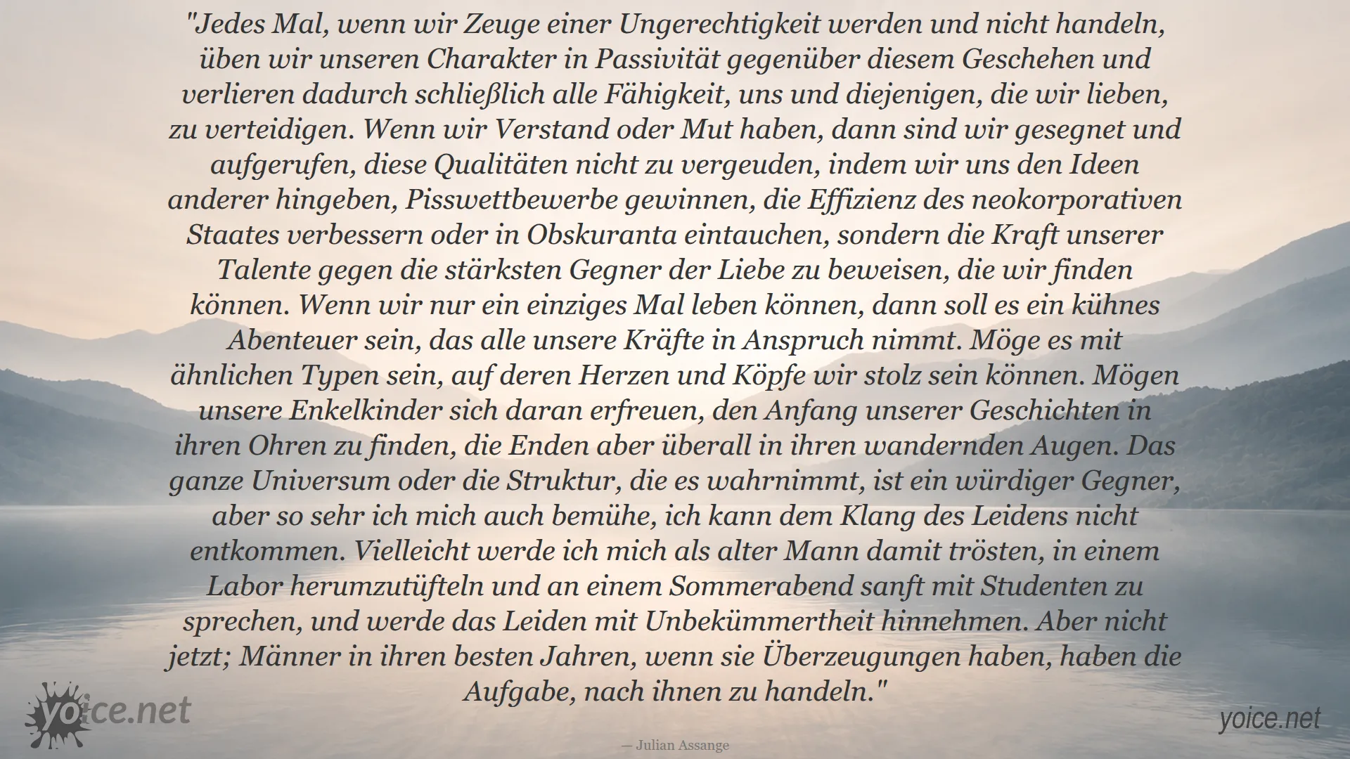 Zitat von Julian Assange über Mut, Gerechtigkeit und das Handeln gegen Ungerechtigkeit