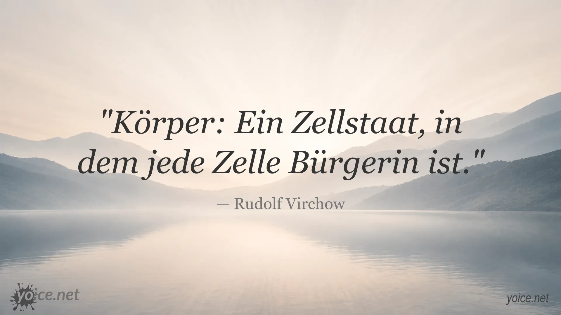 Zitatgrafik von Rudolf Virchow über den Körper als Zellstaat