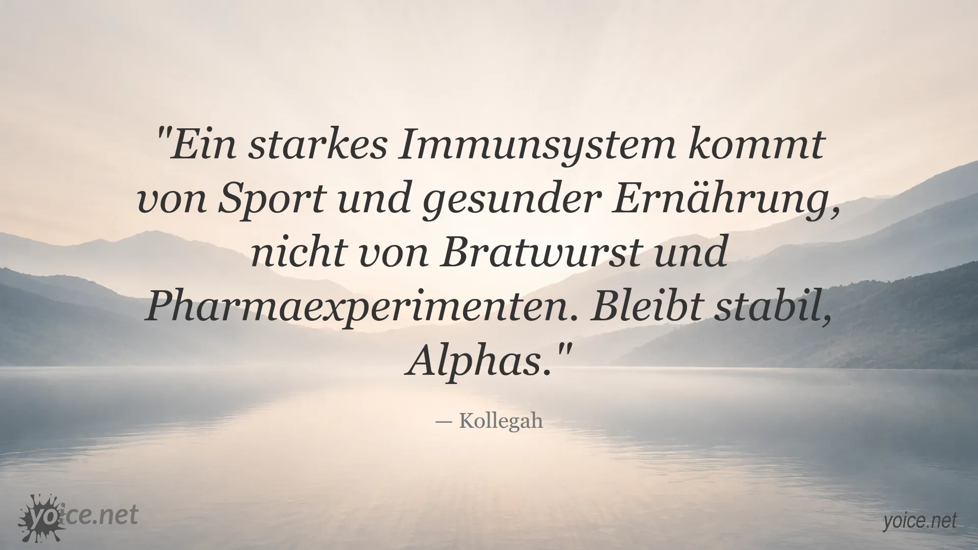 Zitat von Kollegah über starke Immunsysteme durch Sport und gesunde Ernährung
