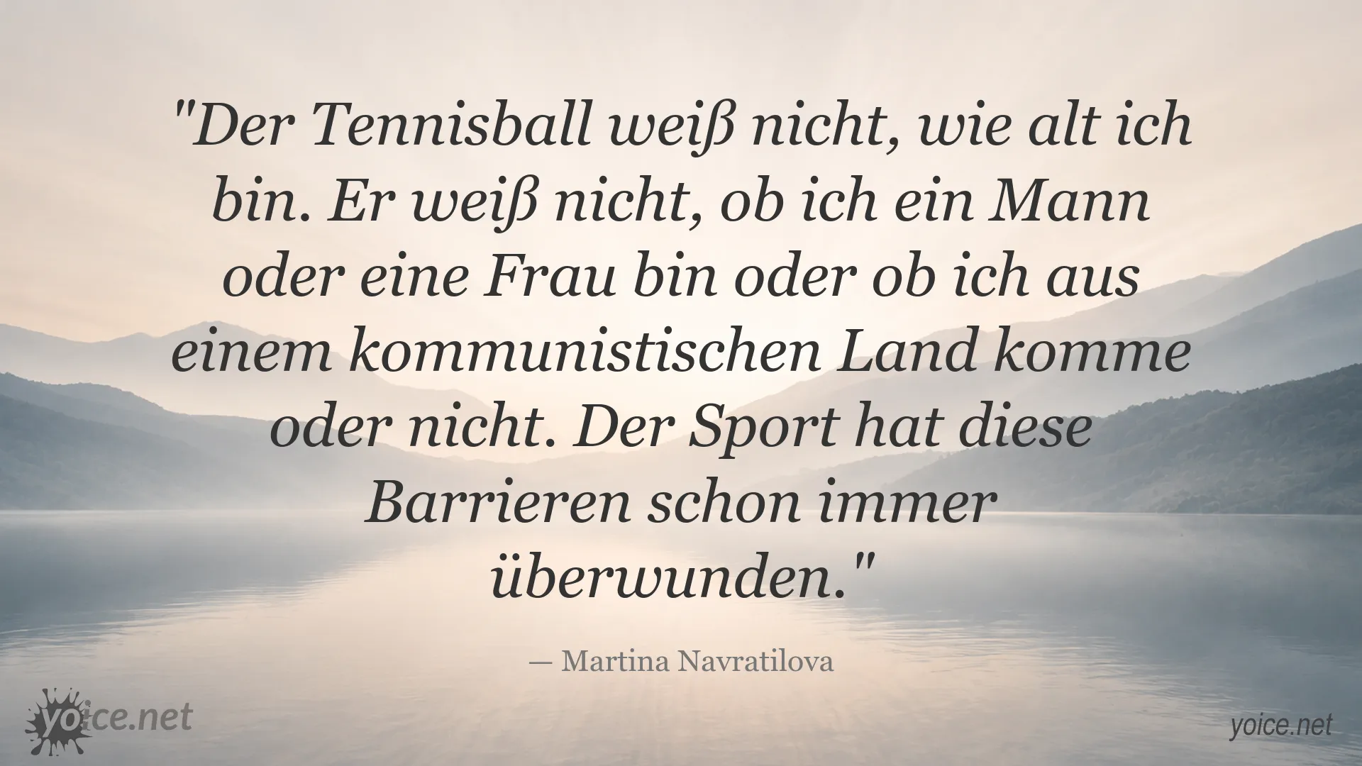 Zitatbild von Martina Navratilova über die verbindende Kraft des Sports