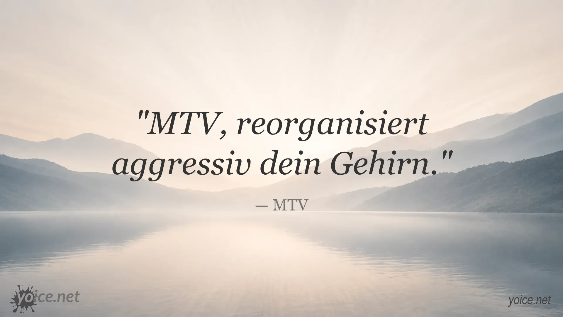 Zitat über MTV, das aggressiv dein Gehirn reorganisiert von MTV