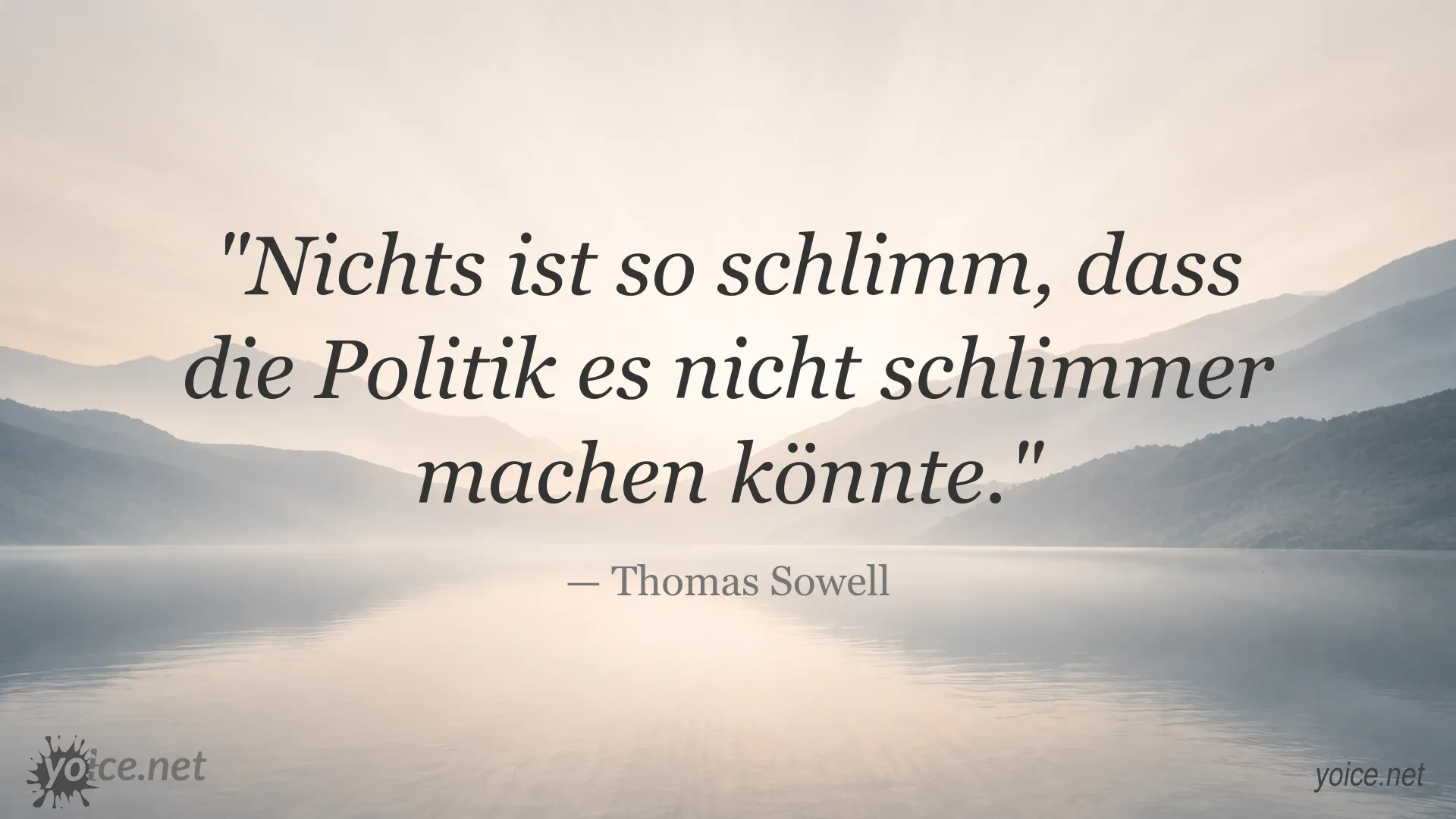Zitatgrafik von Thomas Sowell zum Thema Politik und gesellschaftliche Entwicklungen