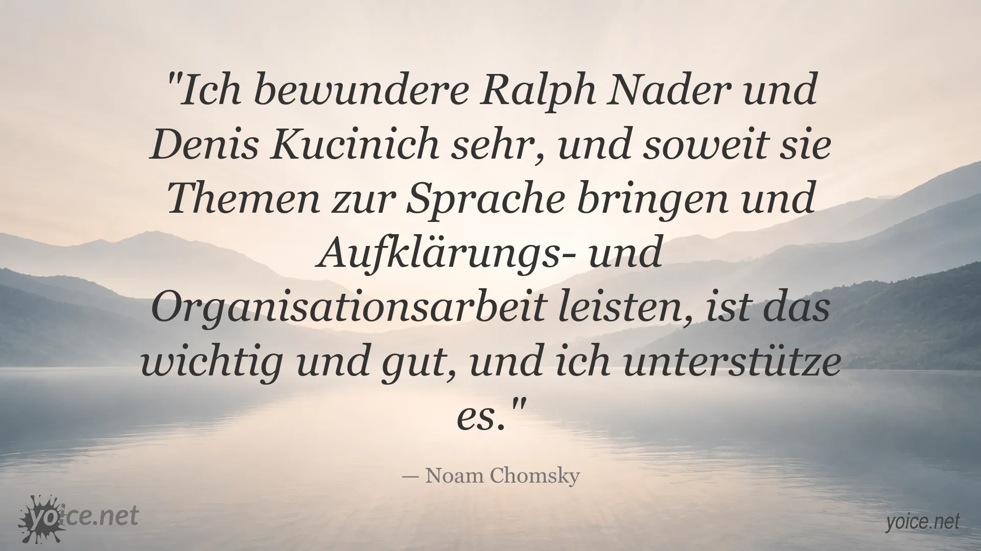 Zitatgrafik von Noam Chomsky über Ralph Nader und Denis Kucinich