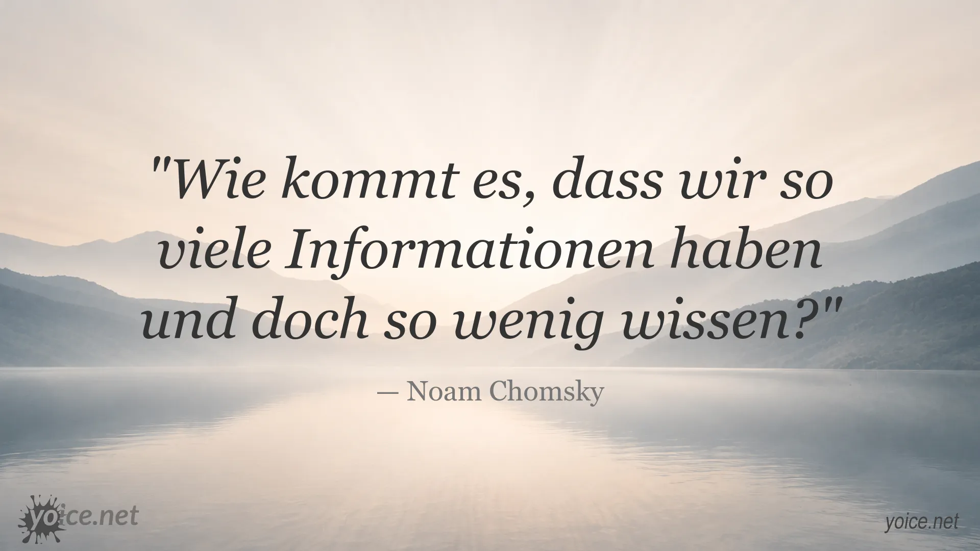 Zitatbild von Noam Chomsky über den Unterschied zwischen Informationen und Wissen