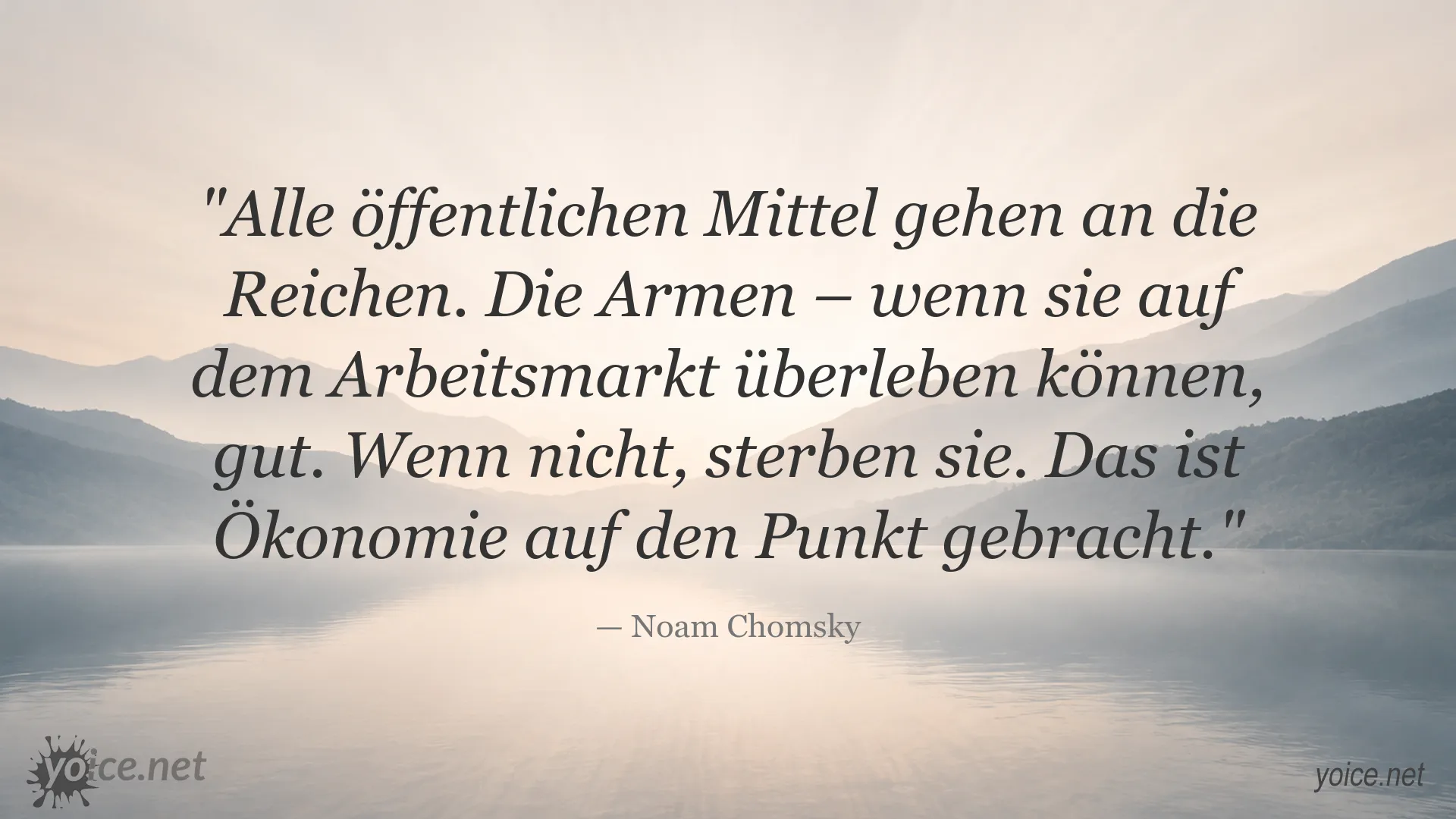 Zitatbild von Noam Chomsky über Ökonomie, öffentliche Mittel und soziale Ungleichheit