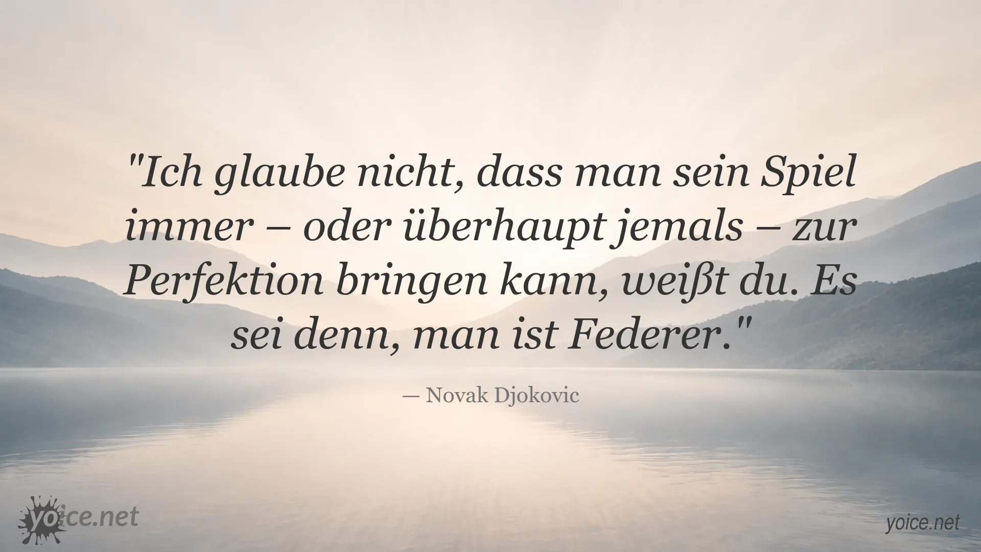 Novak Djokovic Zitat über Perfektion und herausragendes Tennis