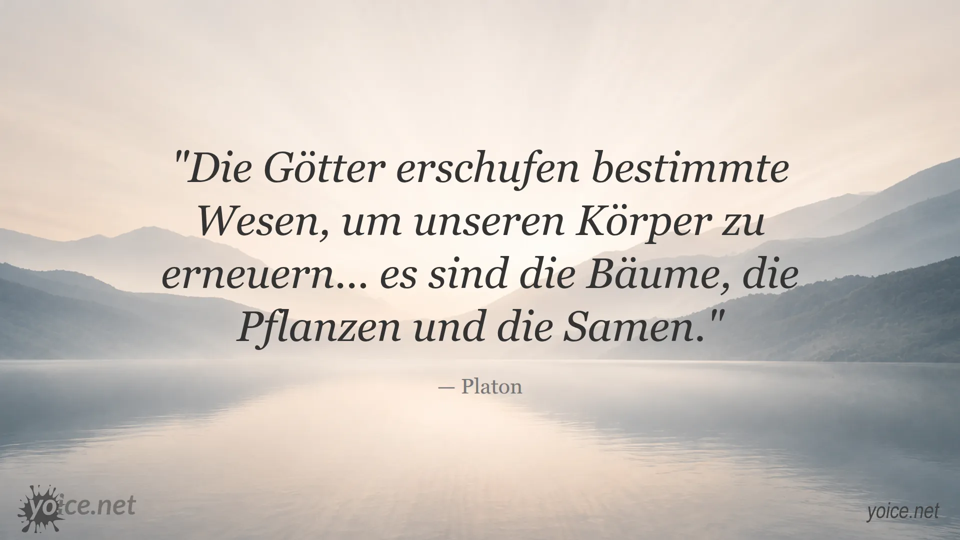 Zitat von Platon über Götter, Bäume, Pflanzen und Samen