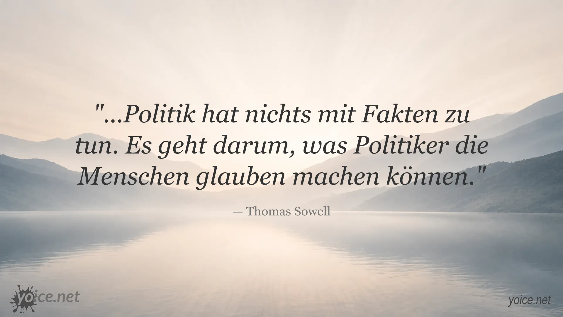 Zitat von Thomas Sowell über Politik und Fakten
