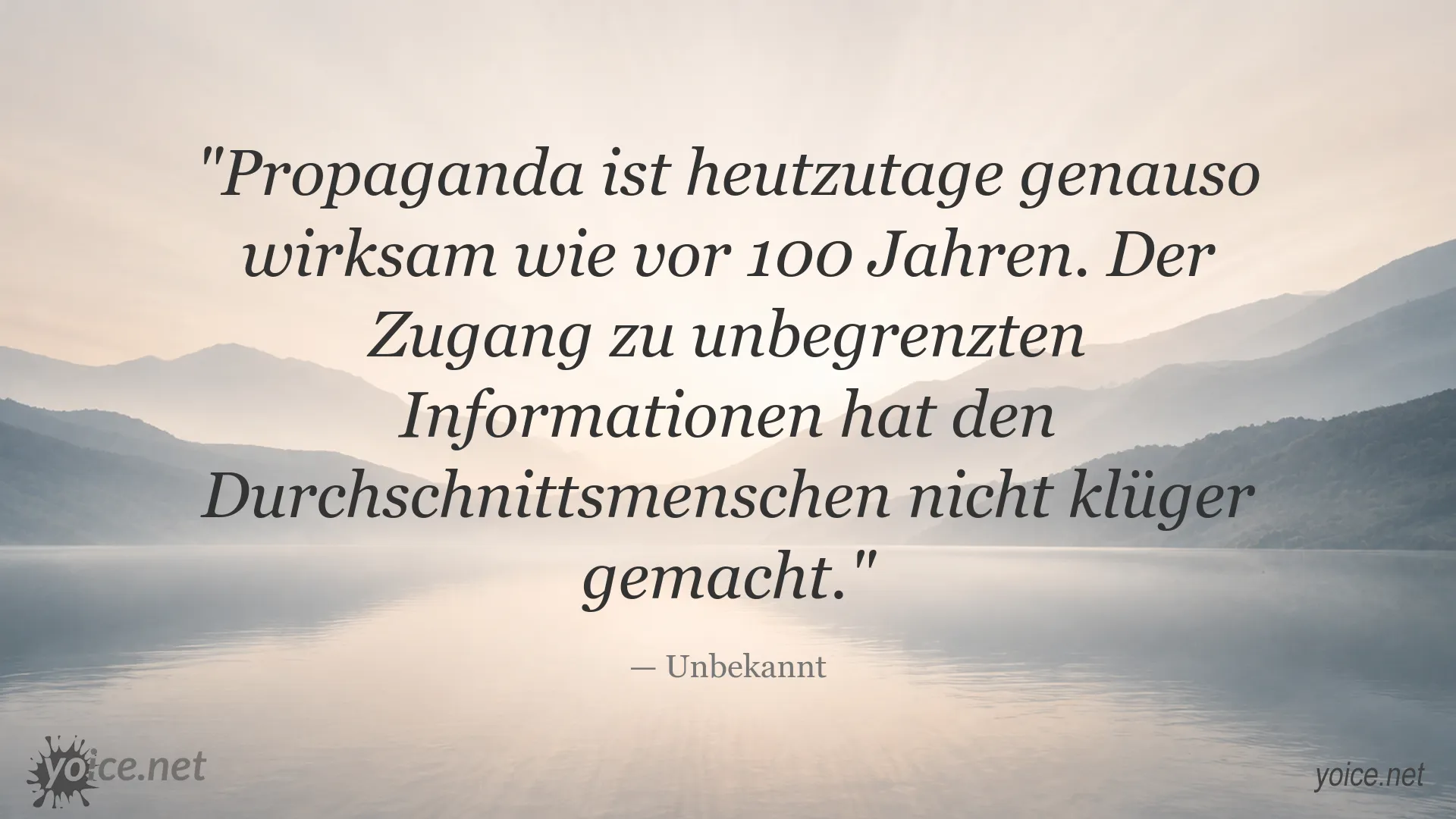 Zitatbild über Propaganda und Informationsflut von Unbekannt