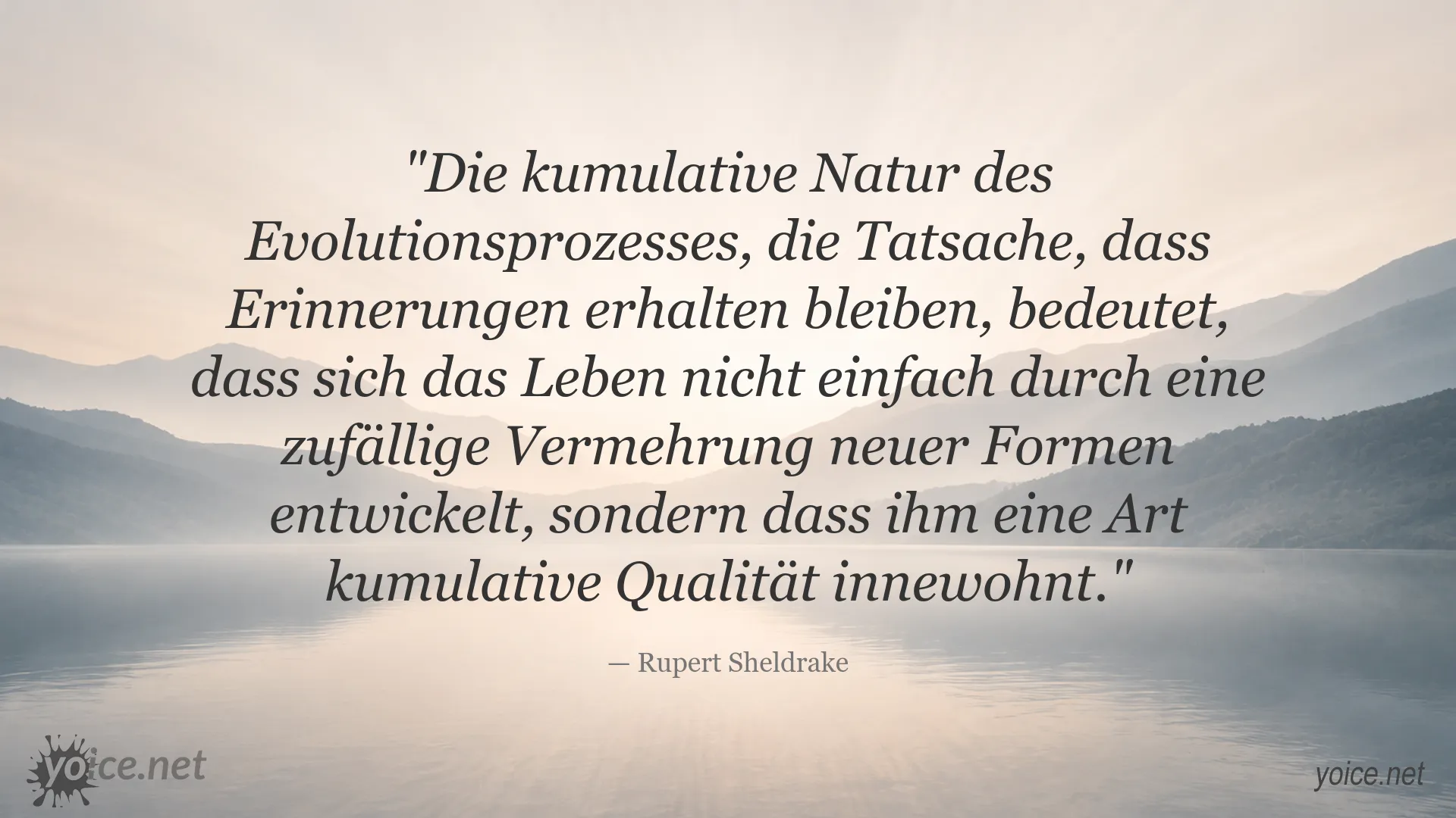 Zitatbild mit einem Gedanken von Rupert Sheldrake über die kumulative Natur des Evolutionsprozesses