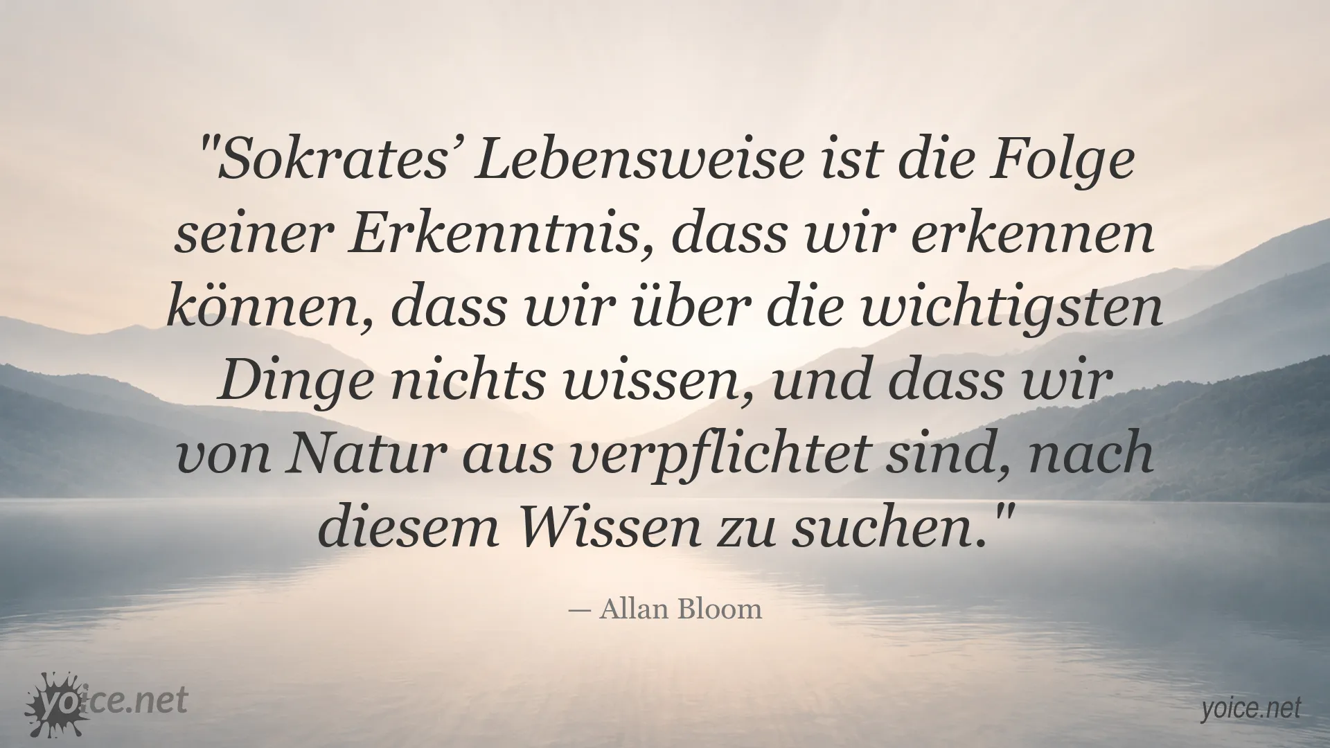 Zitat von Allan Bloom über Sokrates, Wissen und die Suche nach Erkenntnis