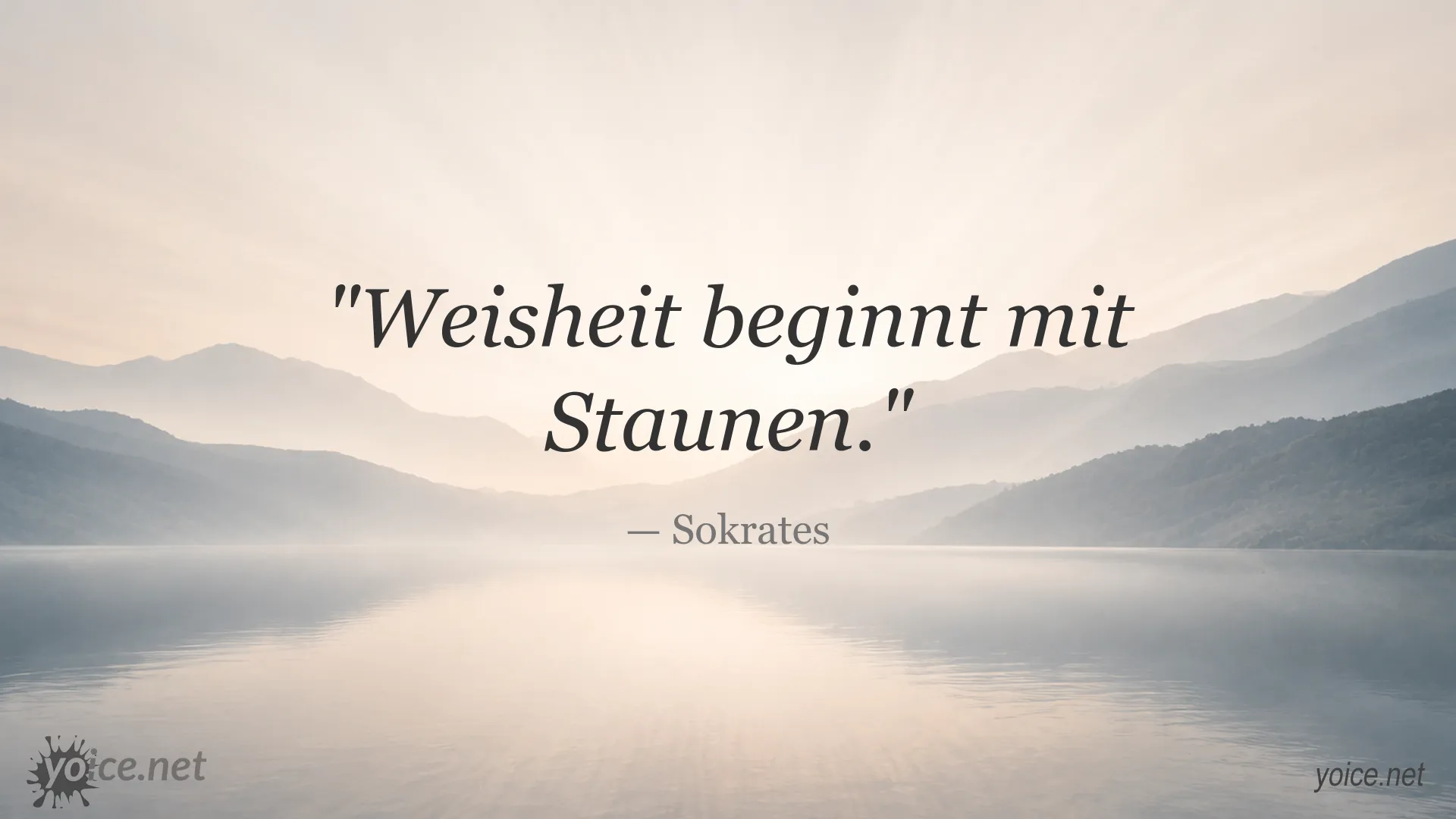 Inspirierendes Zitatbild von Sokrates über Weisheit und Staunen