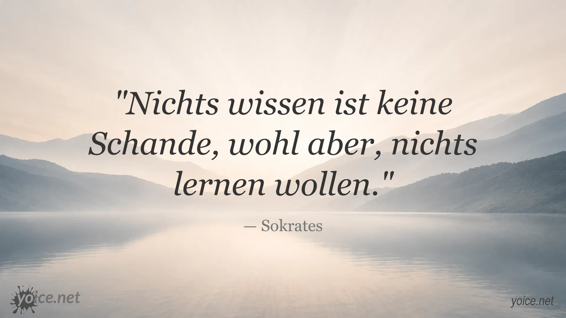Zitat von Sokrates über Wissen und Lernen