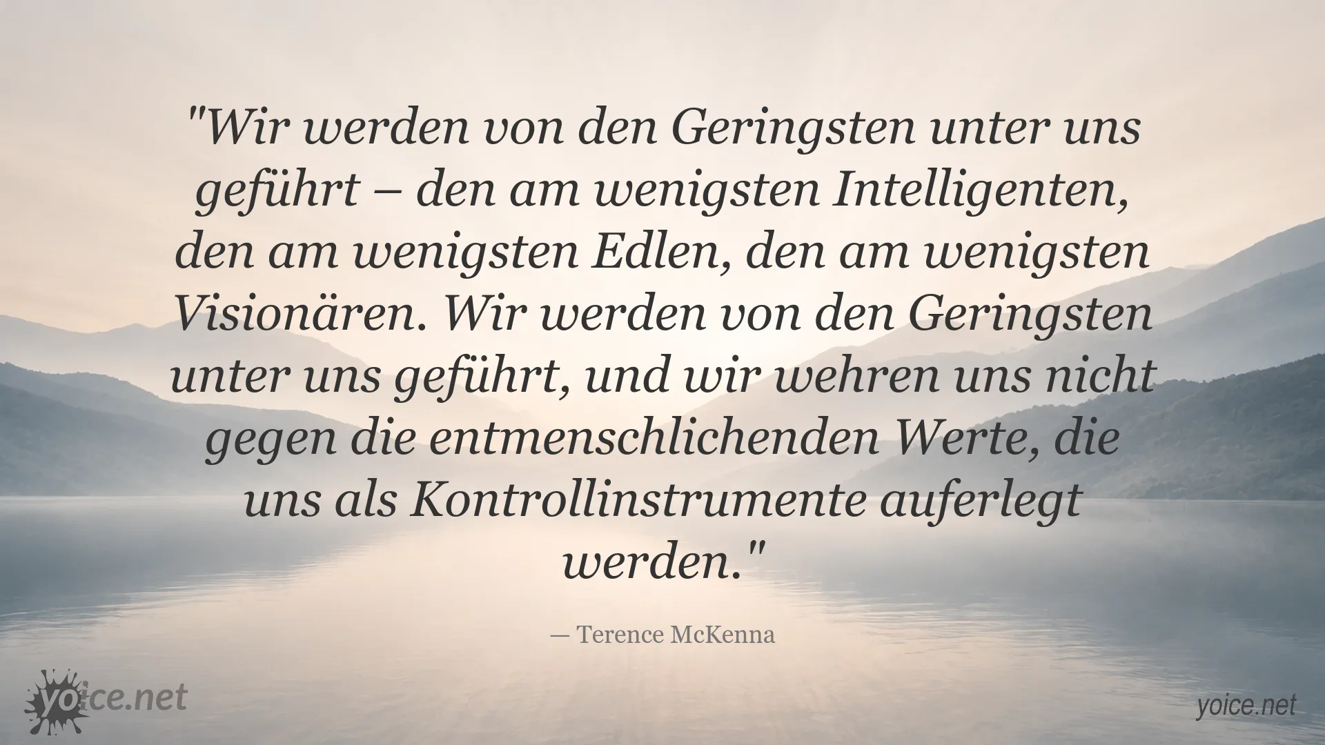 Zitatbild von Terence McKenna über Führung, Intelligenz und auferlegte Werte