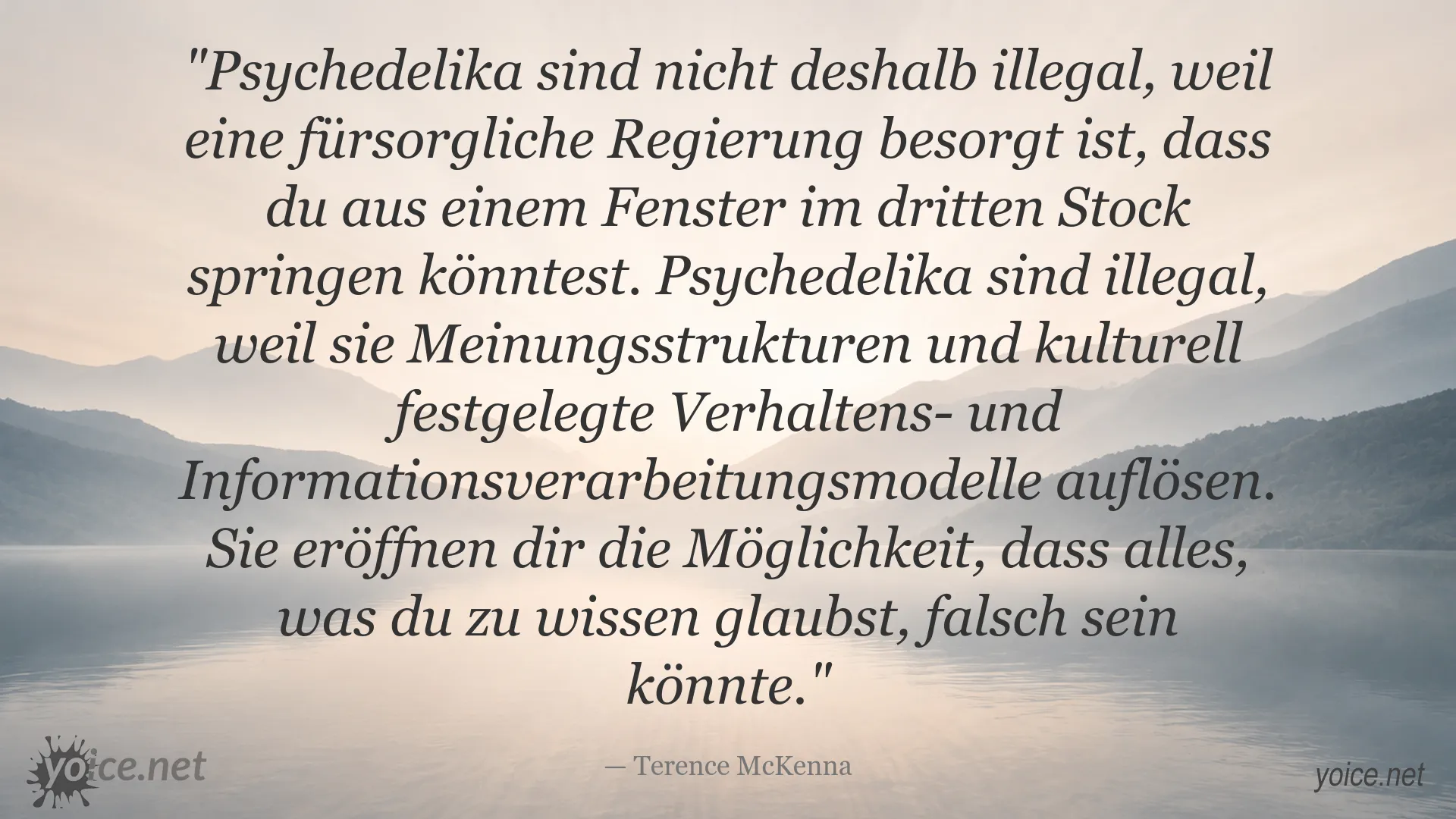 Zitatgrafik mit Terence McKenna über Psychedelika, kulturelle Denkstrukturen und die Grenzen des Wissens