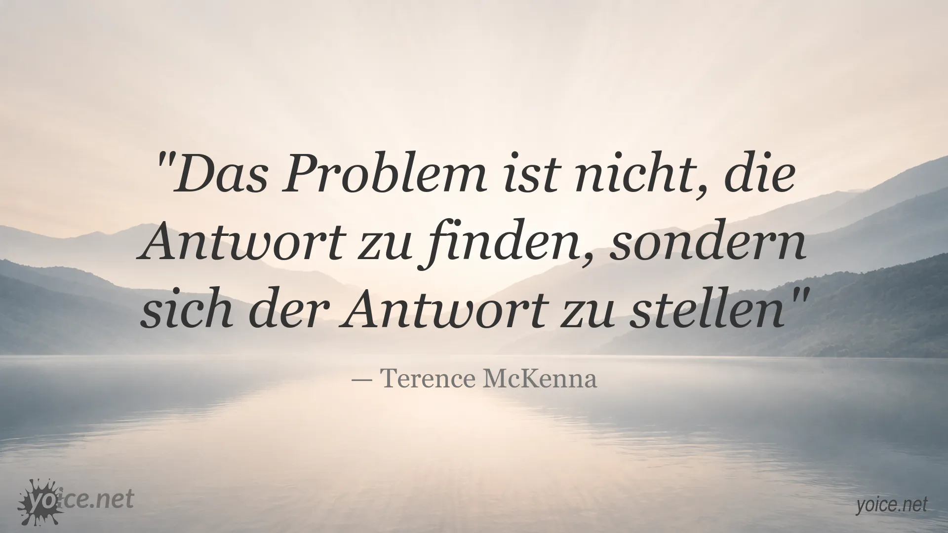 Inspirierendes Zitat von Terence McKenna über Antworten und persönliche Auseinandersetzung