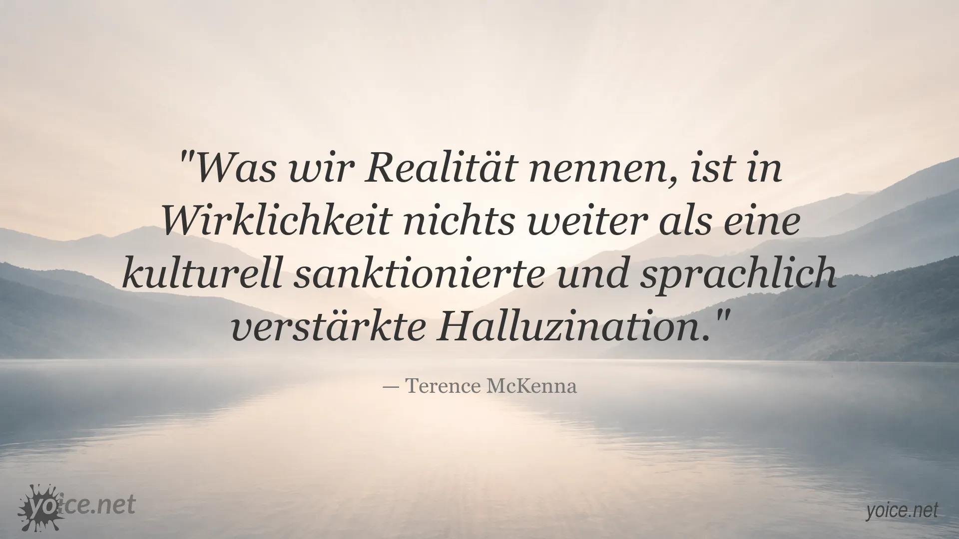 Zitatbild von Terence McKenna über Realität, Sprache und Wahrnehmung