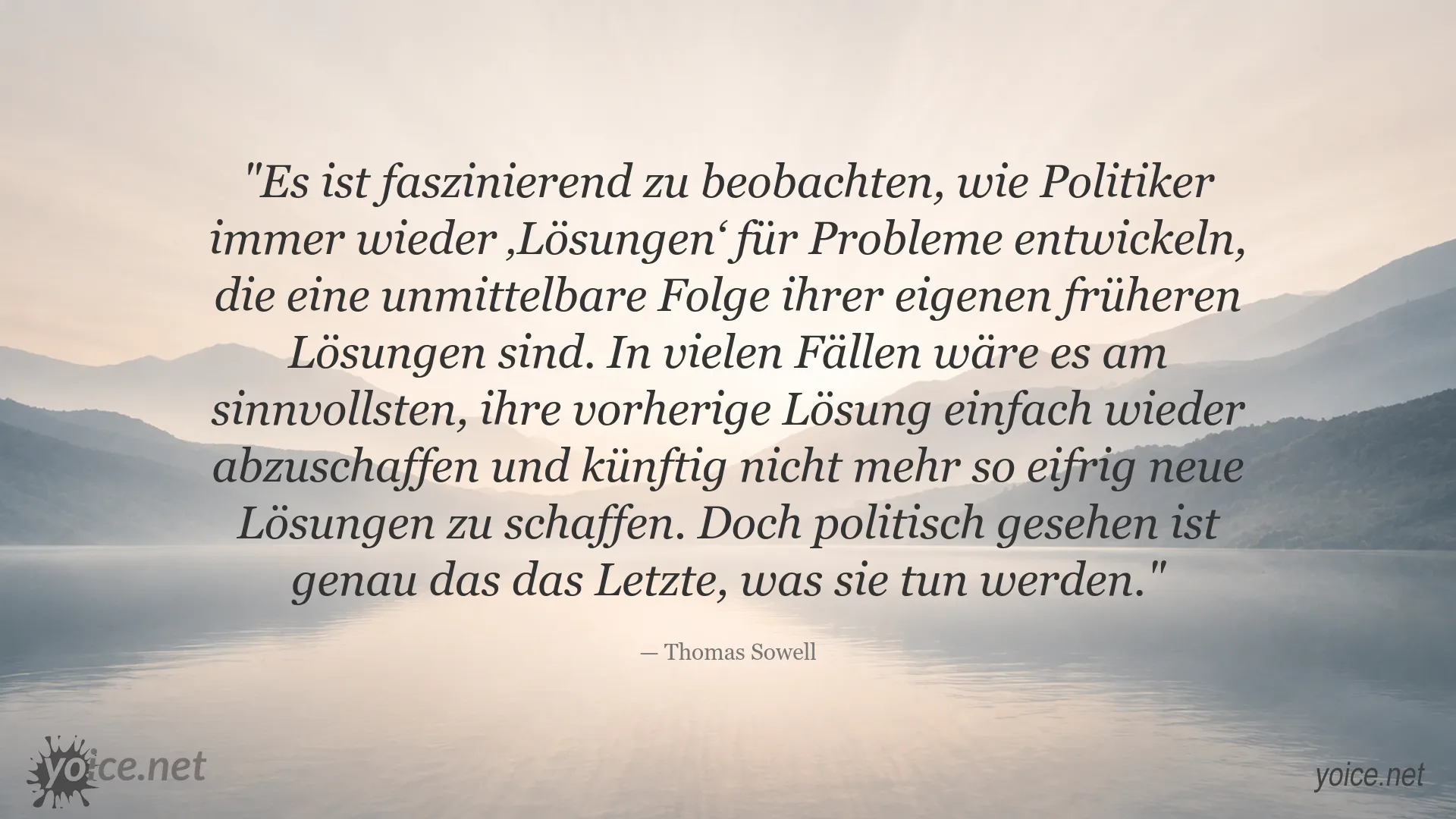 Thomas Sowell Zitat über Politiker und politische Lösungen