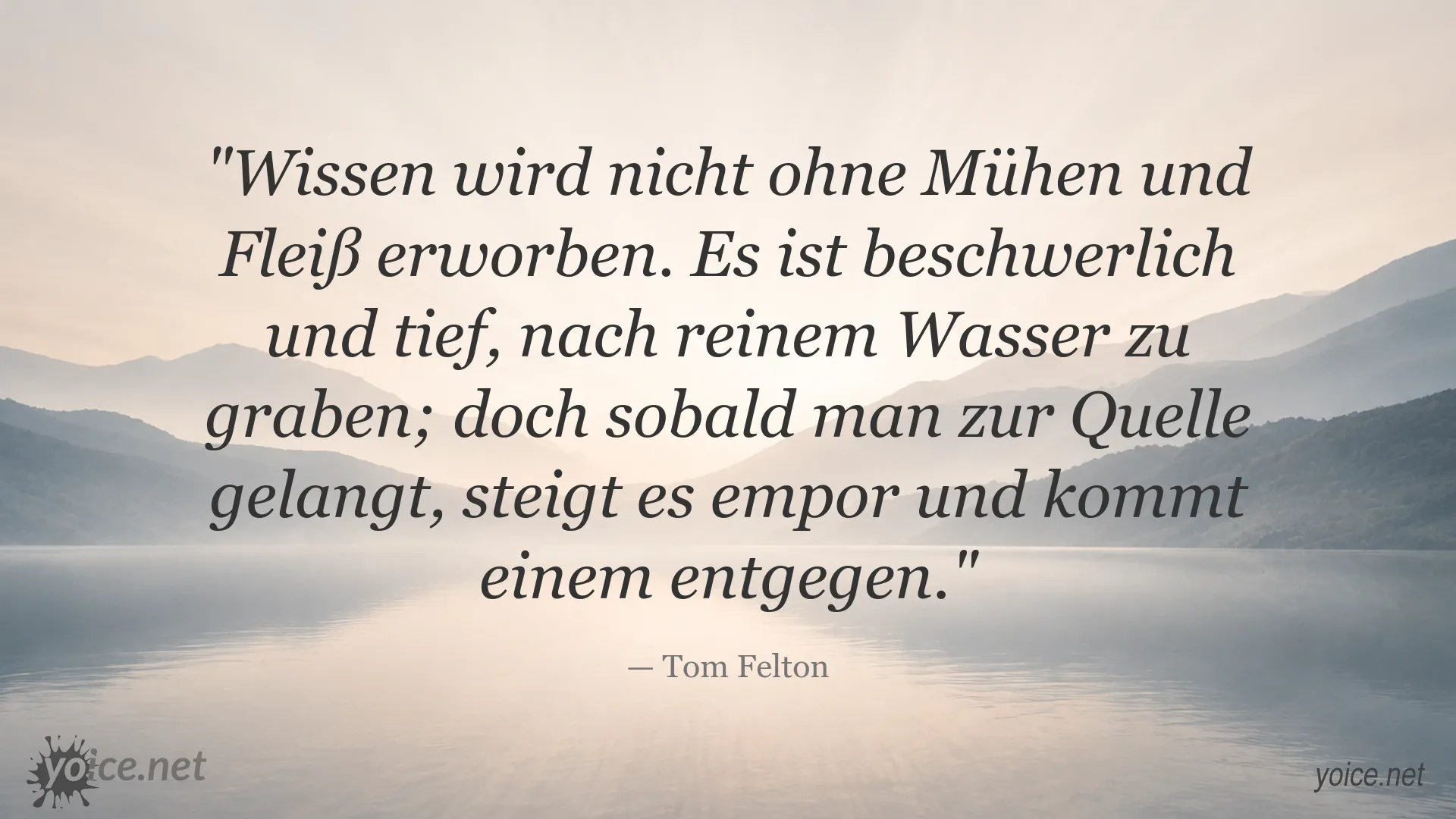 Zitatbild von Tom Felton über Wissen, Mühe und Fleiß