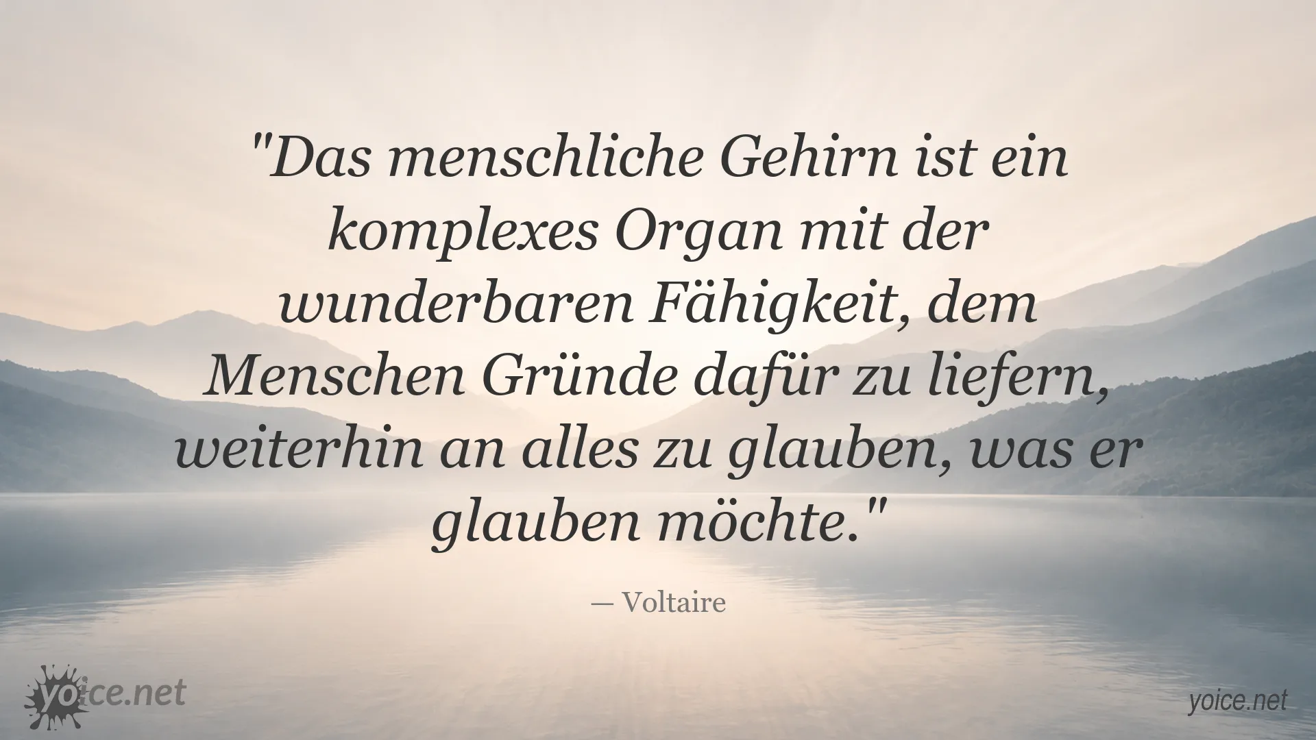 Voltaire Zitat über das menschliche Gehirn und den Glauben